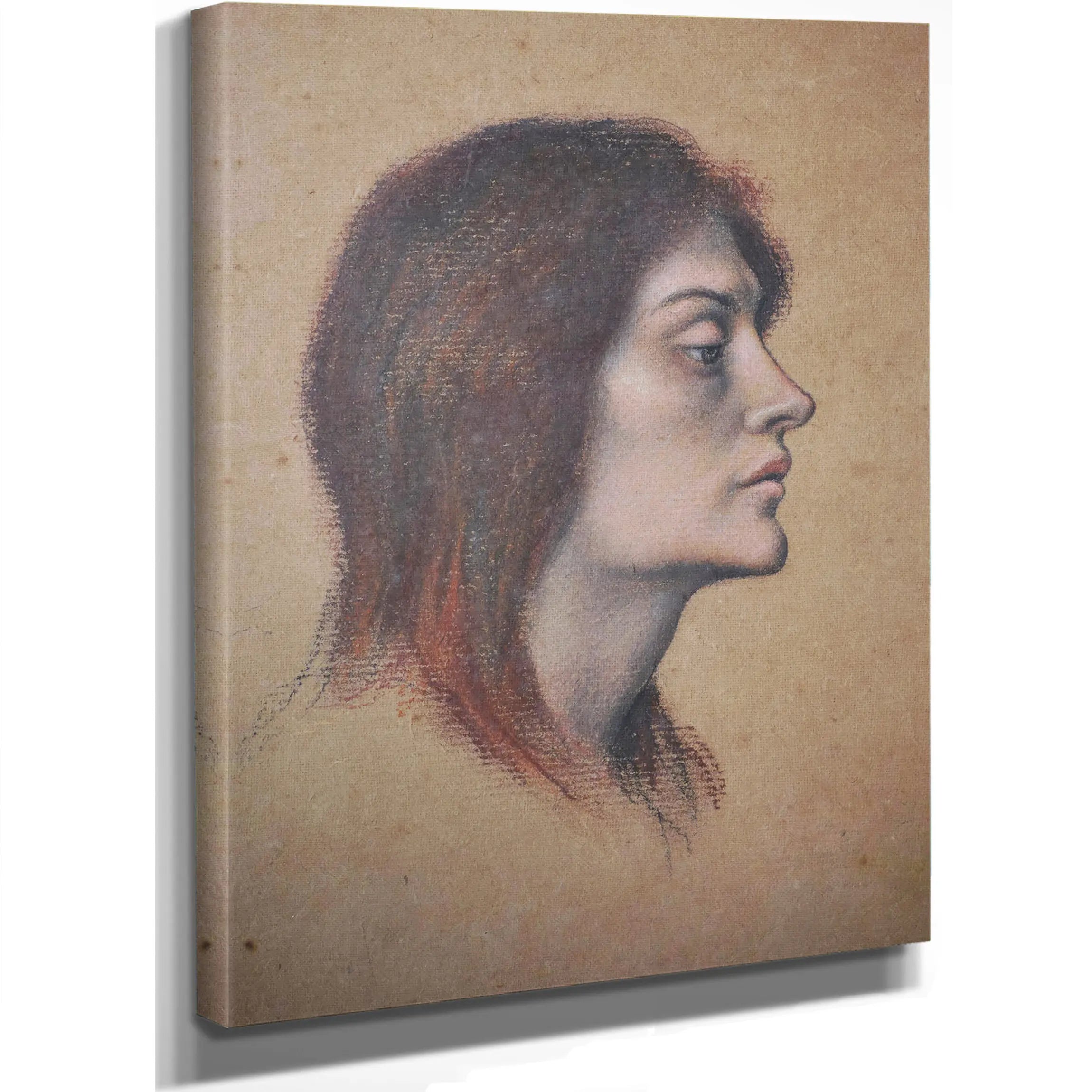 Study Of A Female Head For The Love Potion by Evelyn De Morgan