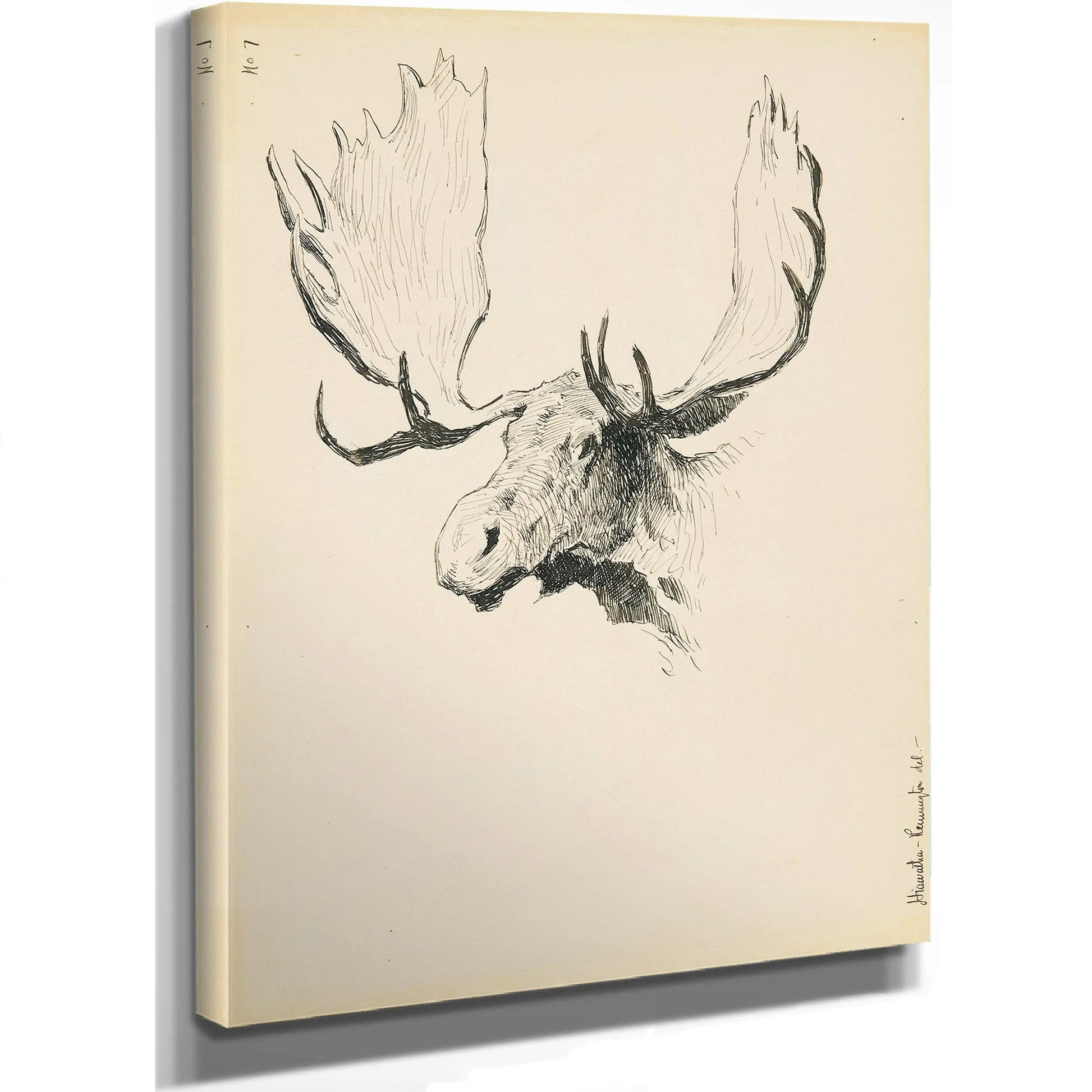 Moose Head by Frederic Remington