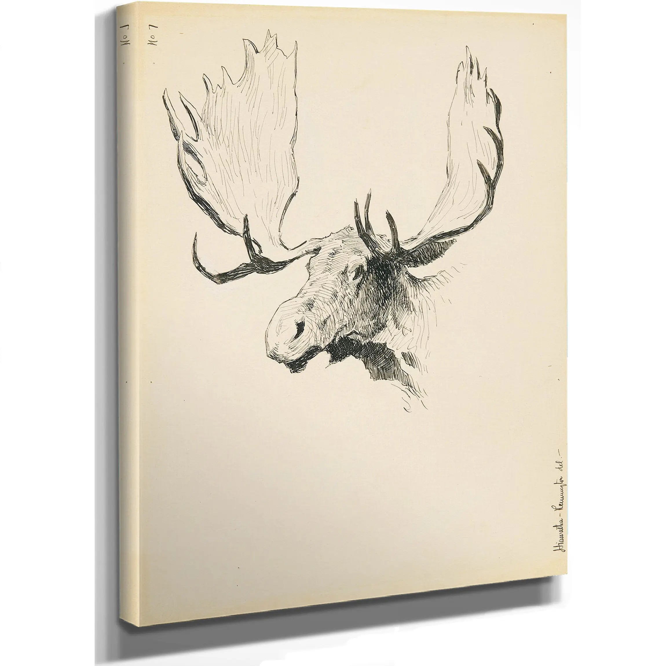 Moose Head by Frederic Remington