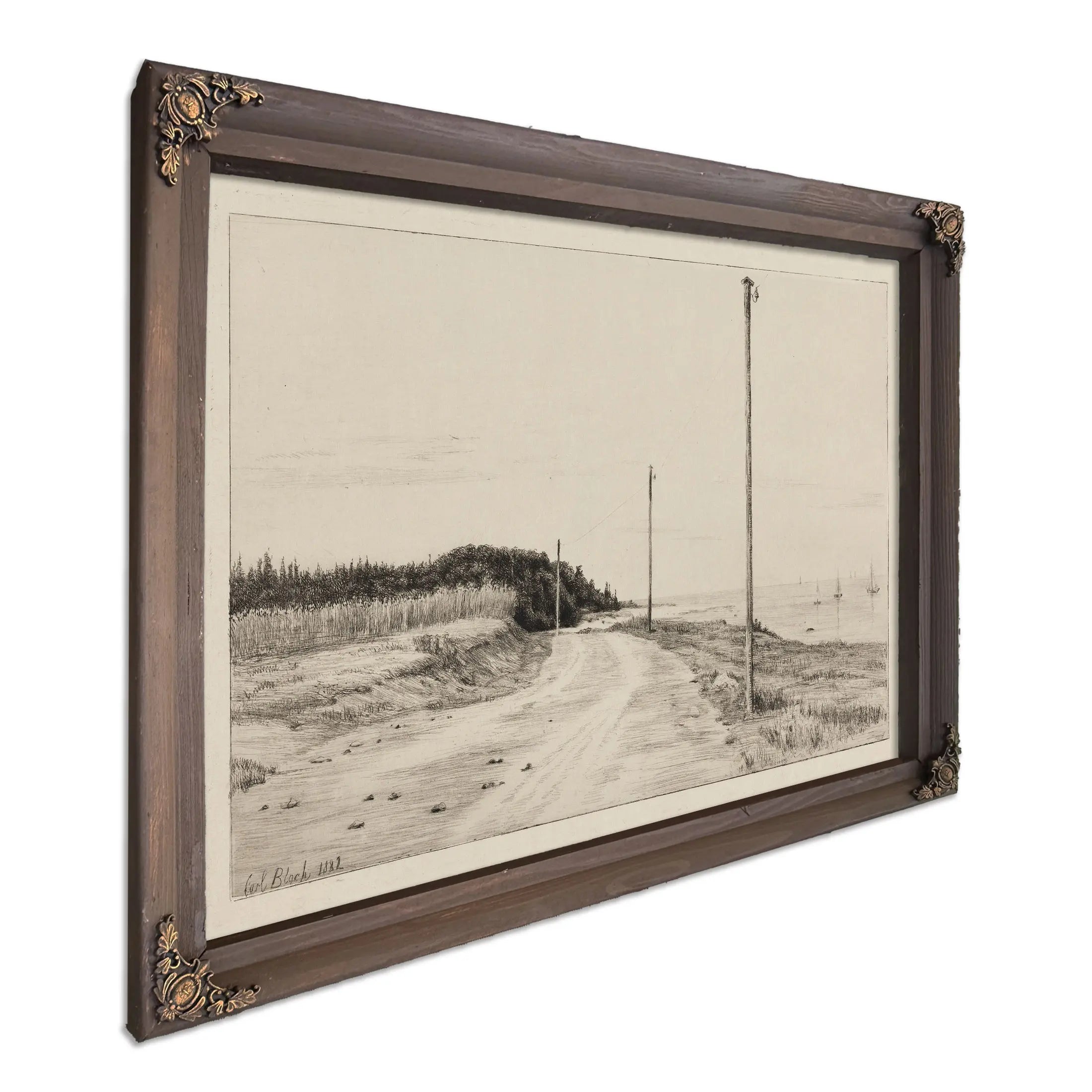 Strandvejen Ved Hornbaeksplantagen by Carl Bloch