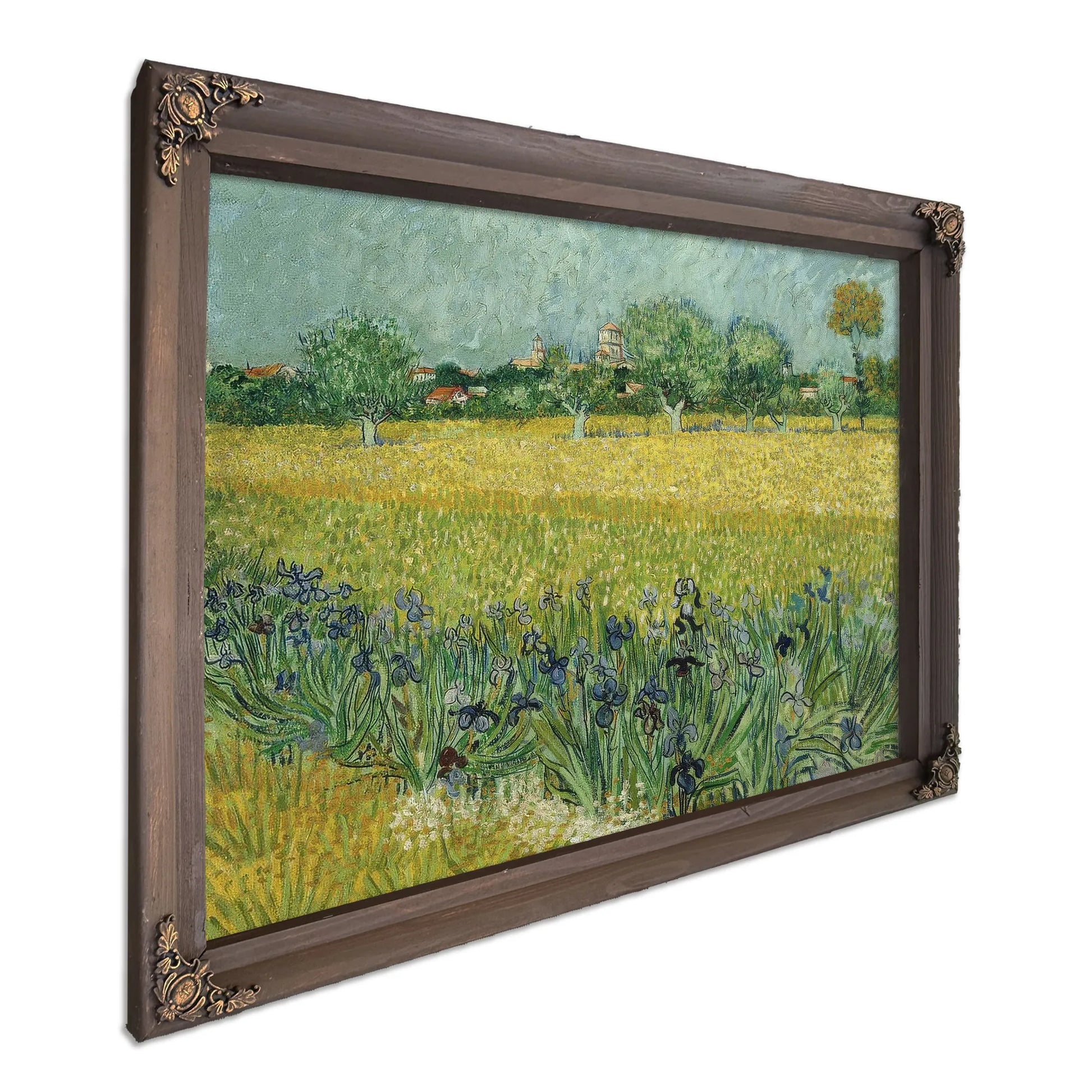 Field With Flowers Near Arles By Vincent Van Gogh Fine Art Print