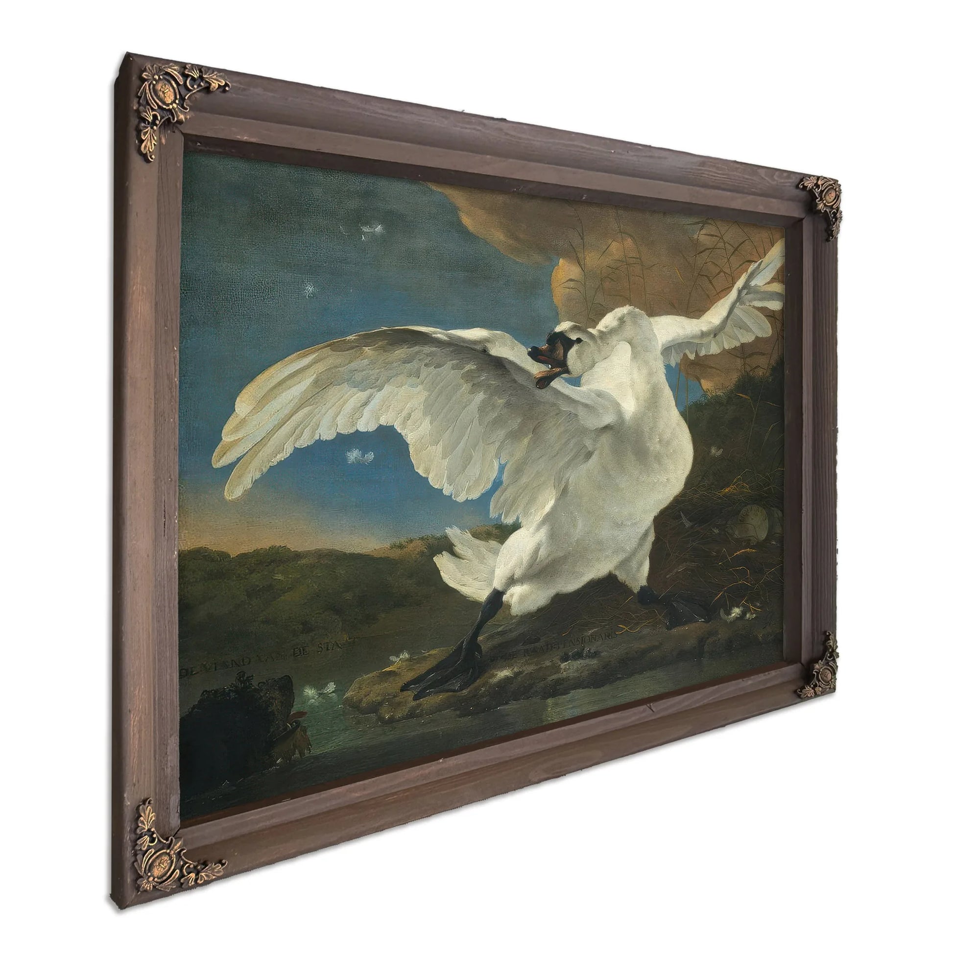 The Threatened Swan By Jan Asselyn Fine Art Print