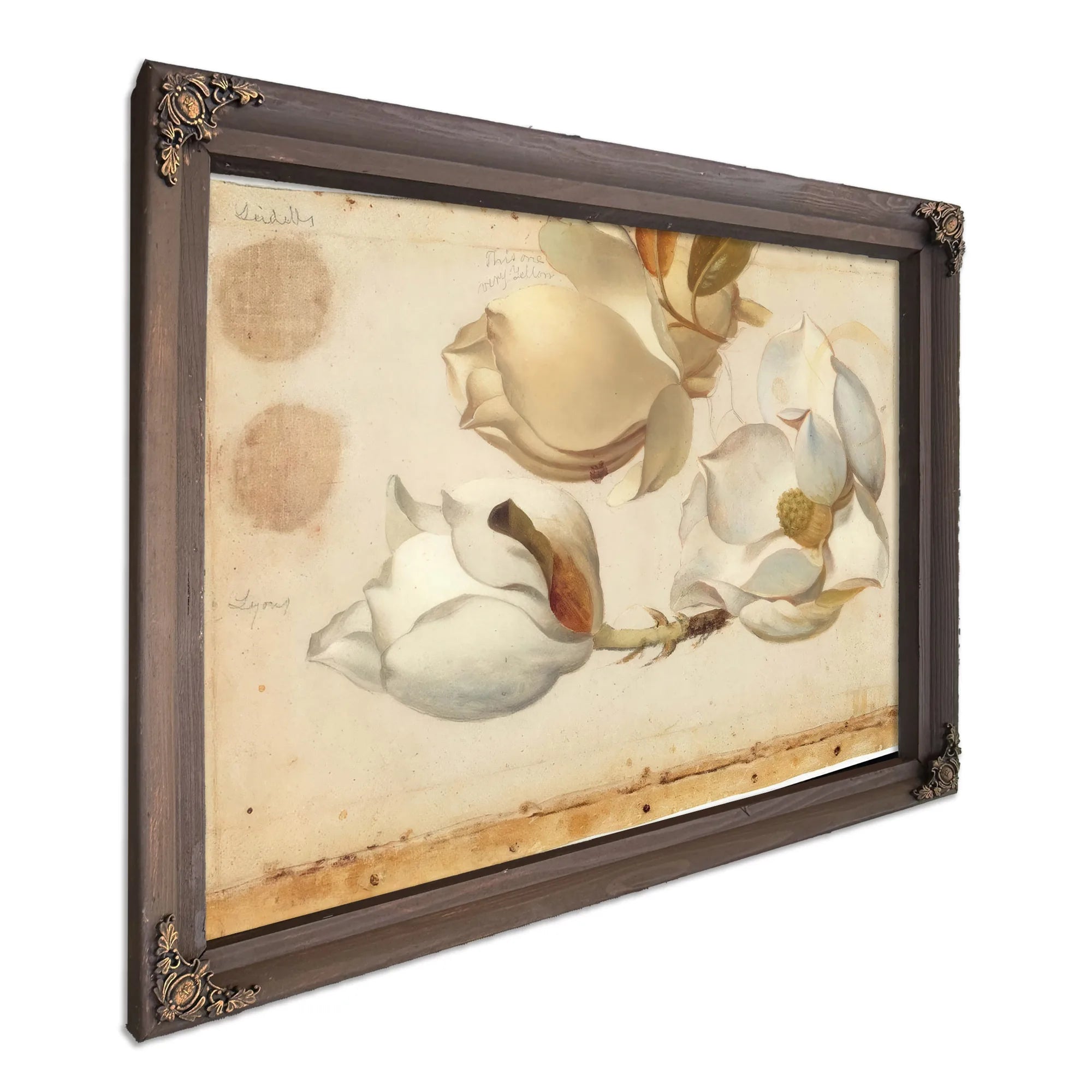 Study Of Three Blossoms Of Magnolia By Martin Johnson Heade Fine Art Print
