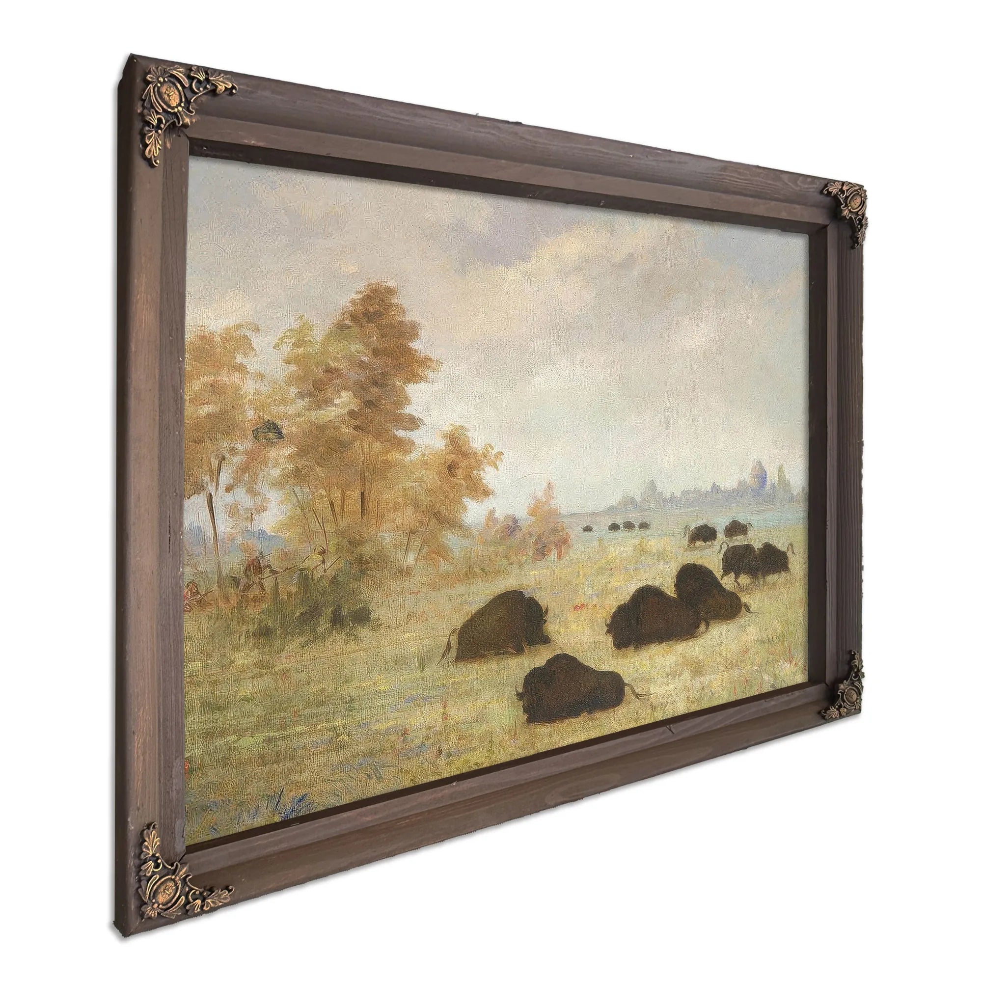 Stalking Buffalo, Arkansas By George Catlin Fine Art Print