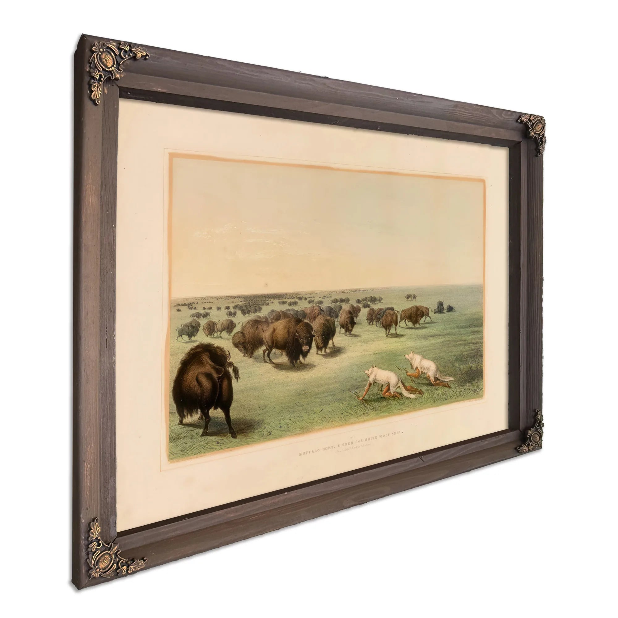 Buffalo Hunt, Under The White Wolfskin No. 13 By George Catlin Fine Art Print