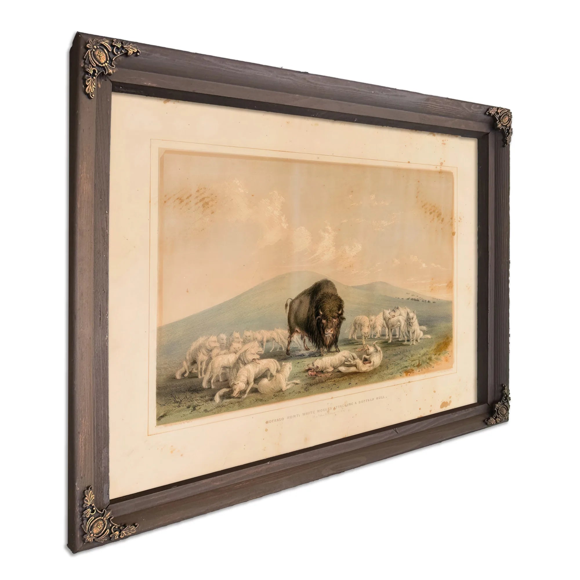 Buffalo Hunt, White Wolves Attacking A Buffalo Bull No. 10 By George Catlin Fine Art Print