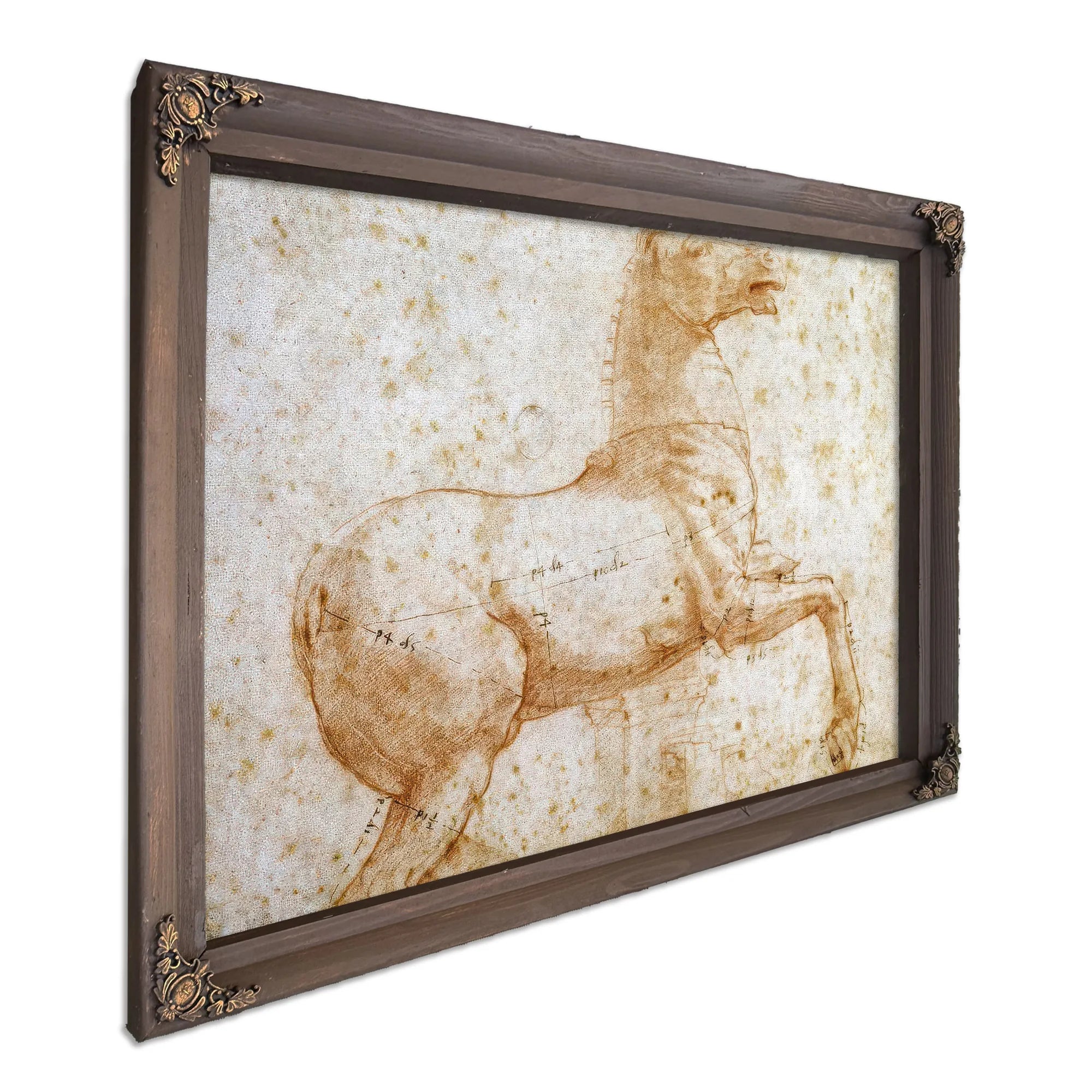 Study Of One Of The Quirinal Marble Horses By Raphael Fine Art Print