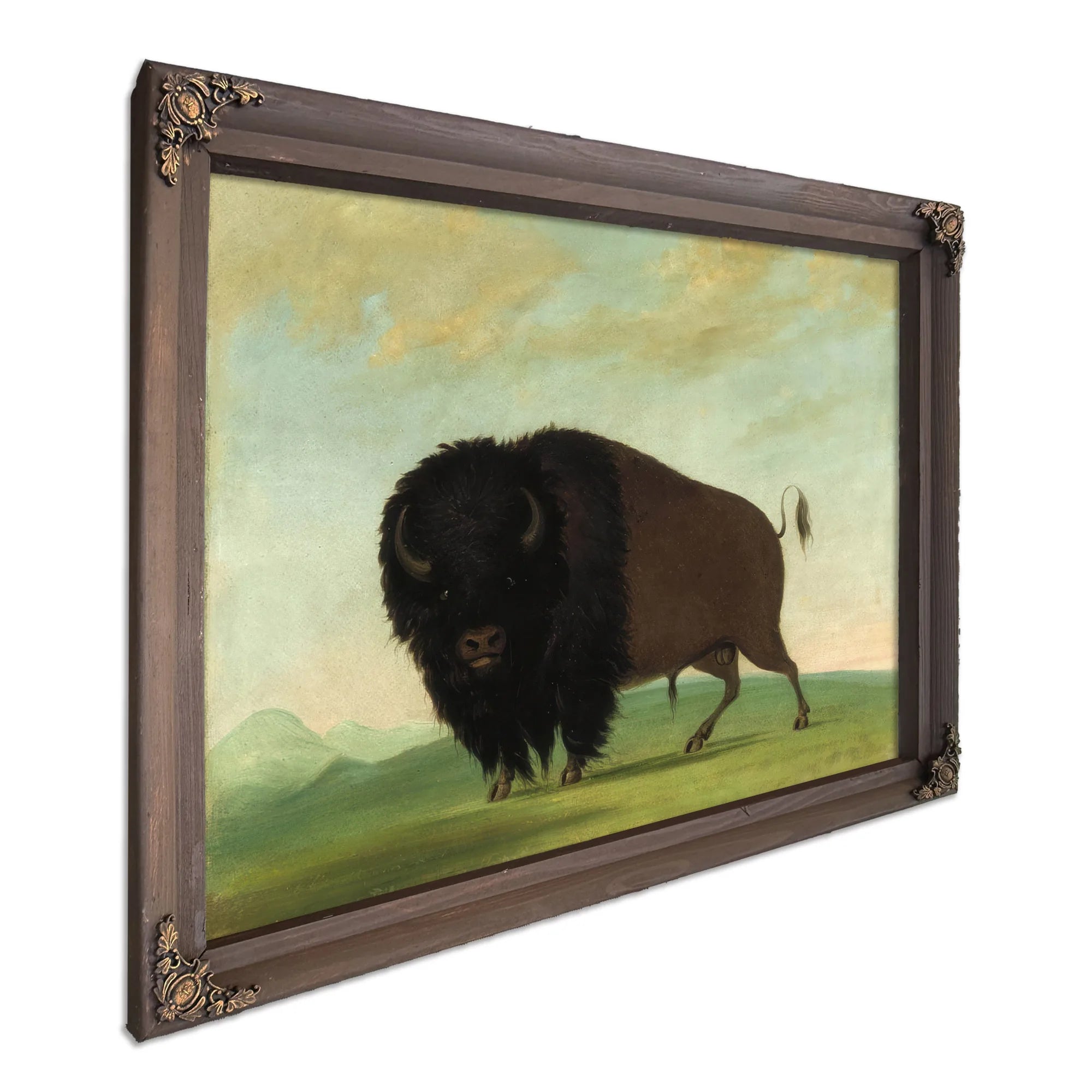 Buffalo Bull, Grazing On The Prairie By George Catlin Fine Art Print