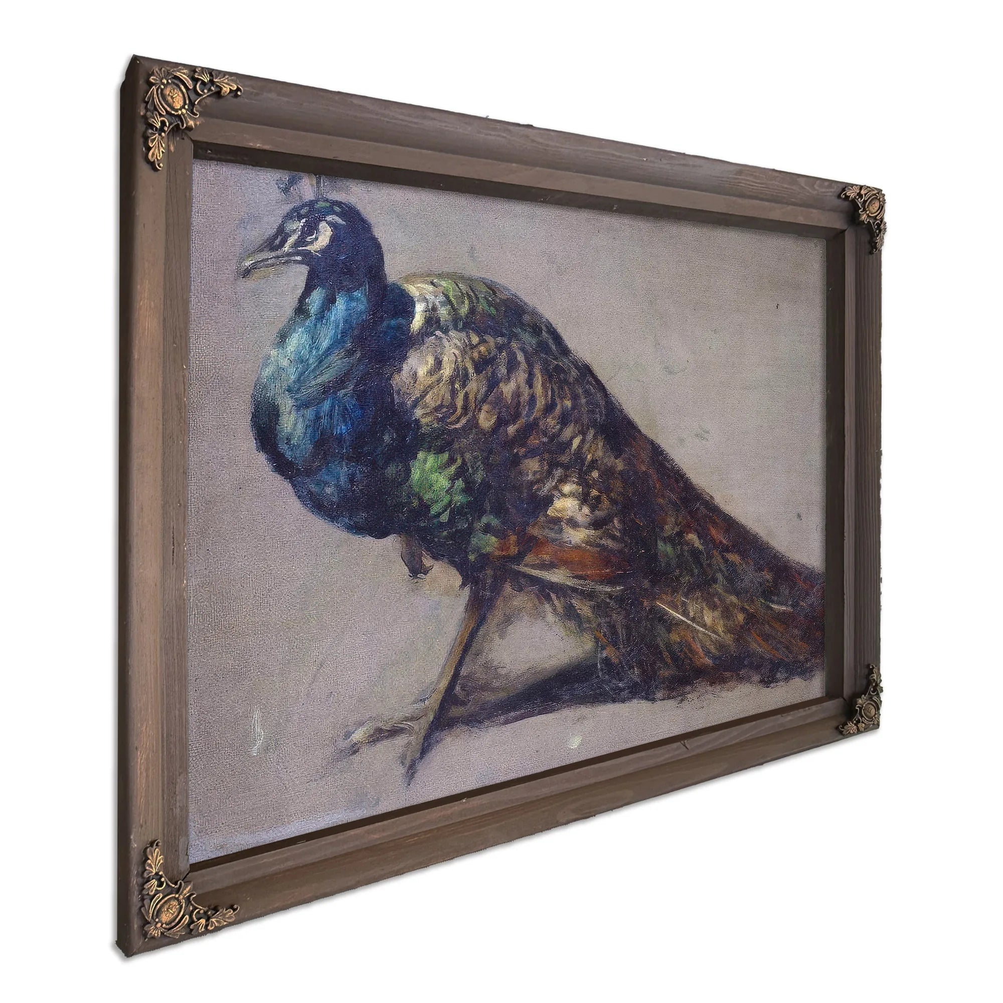 Study Of A Peacock For 'The Judgement Of Paris' By William Etty Fine Art Print