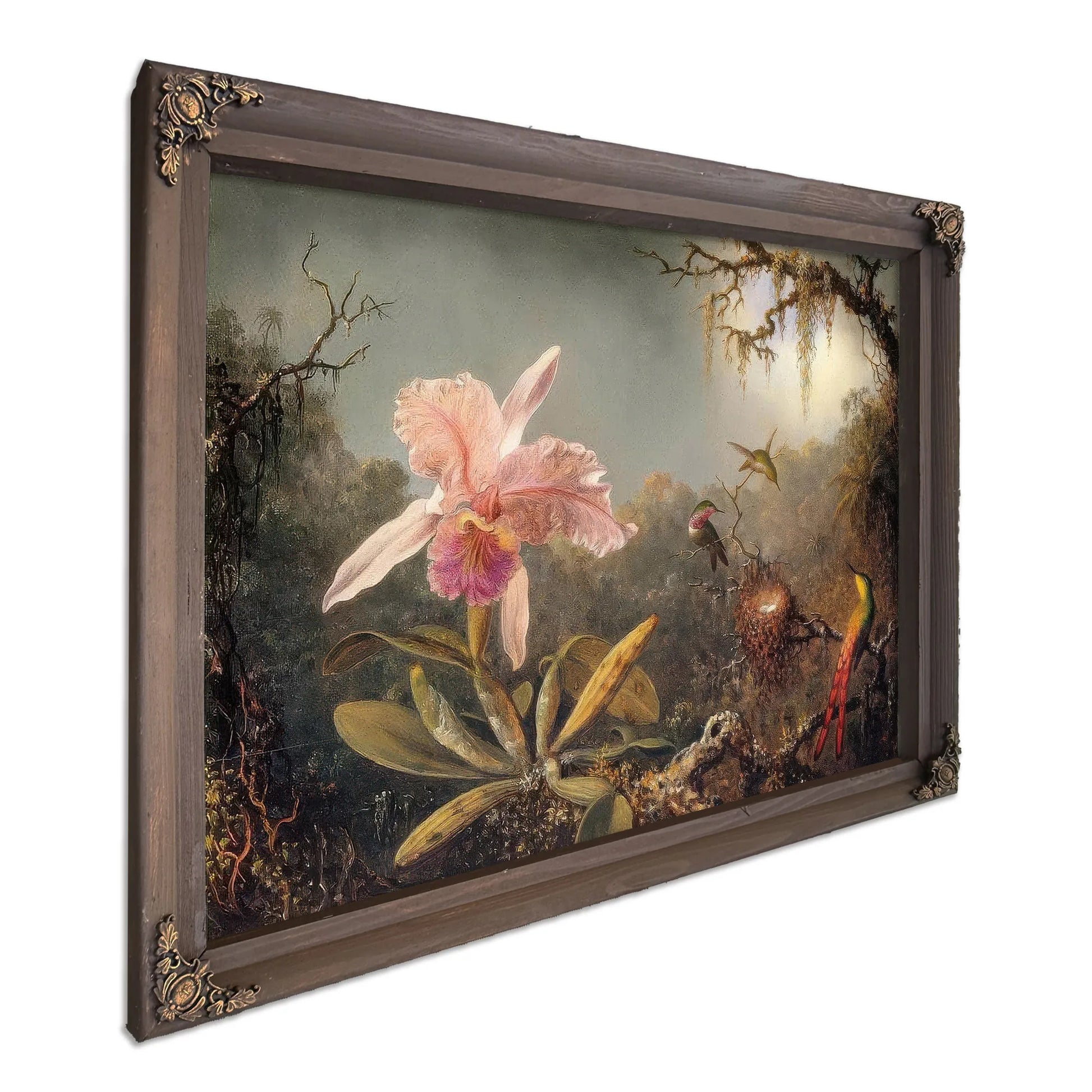 Cattleya Orchid And Three Brtazilian Hummingbirds By Martin Johnson Heade Fine Art Print