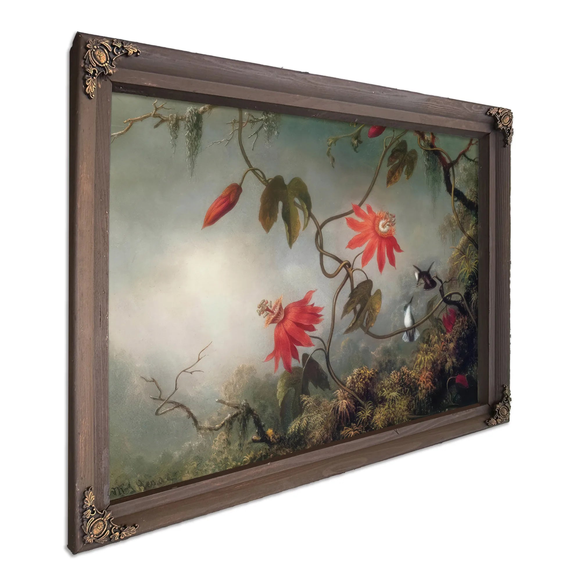 Passion Flowers And Hummingbirds By Martin Johnson Heade Fine Art Print