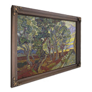 The Garden Of Saint Paul's Hospital 2 By Vincent Van Gogh Fine Art Print