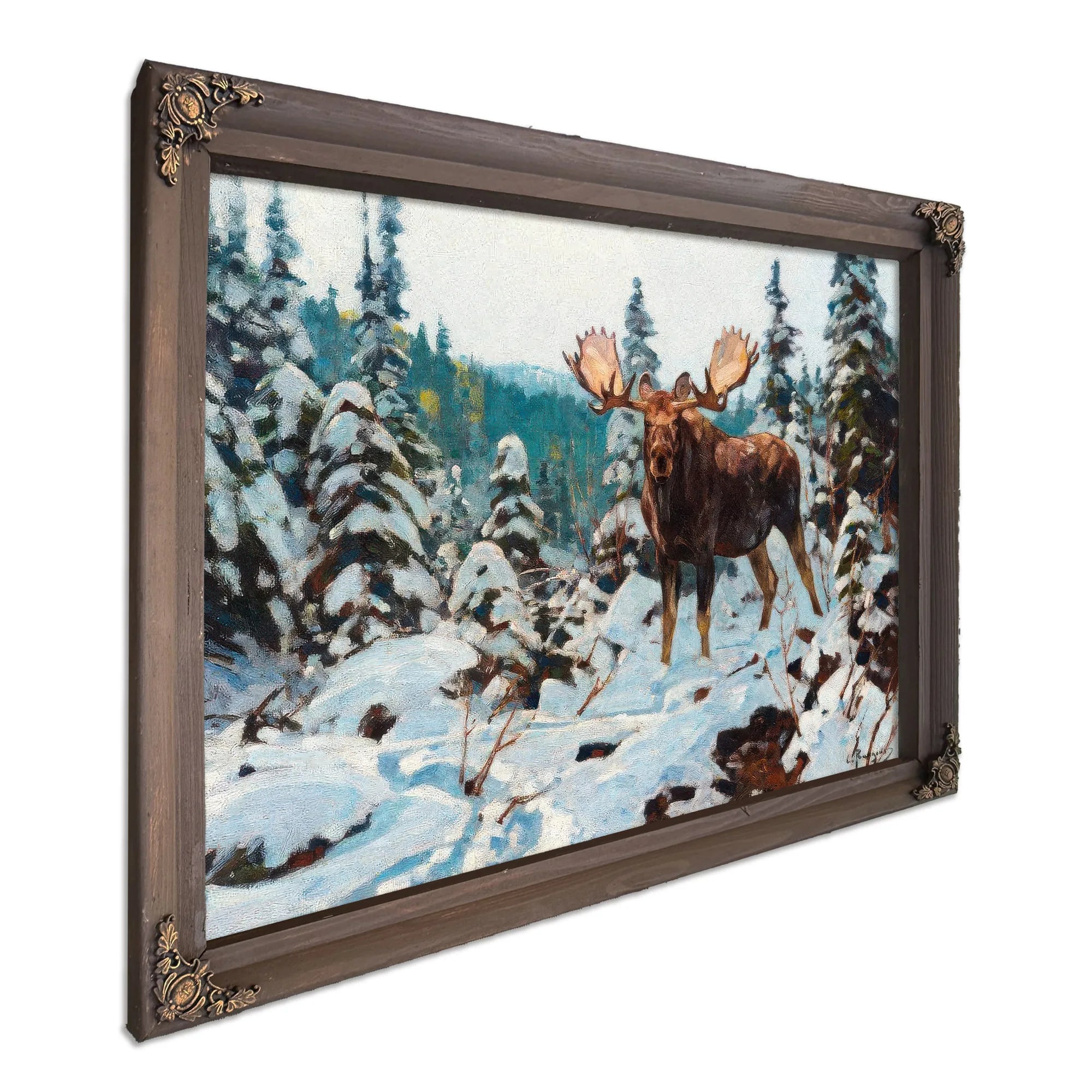 Bull Moose By Carl Rungius Fine Art Print