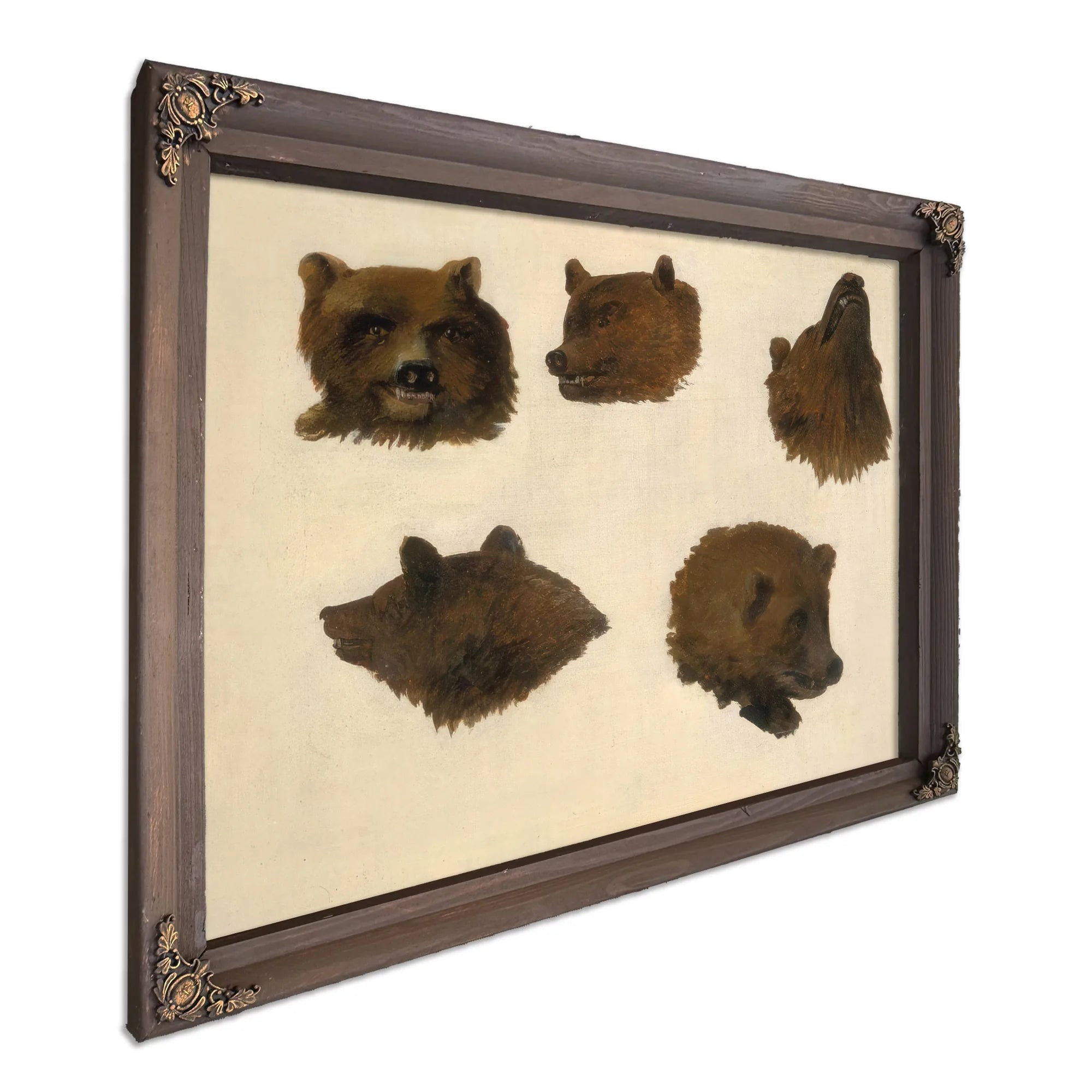 Portraits Of Two Grizzly Bears, From Life By George Catlin Fine Art Print