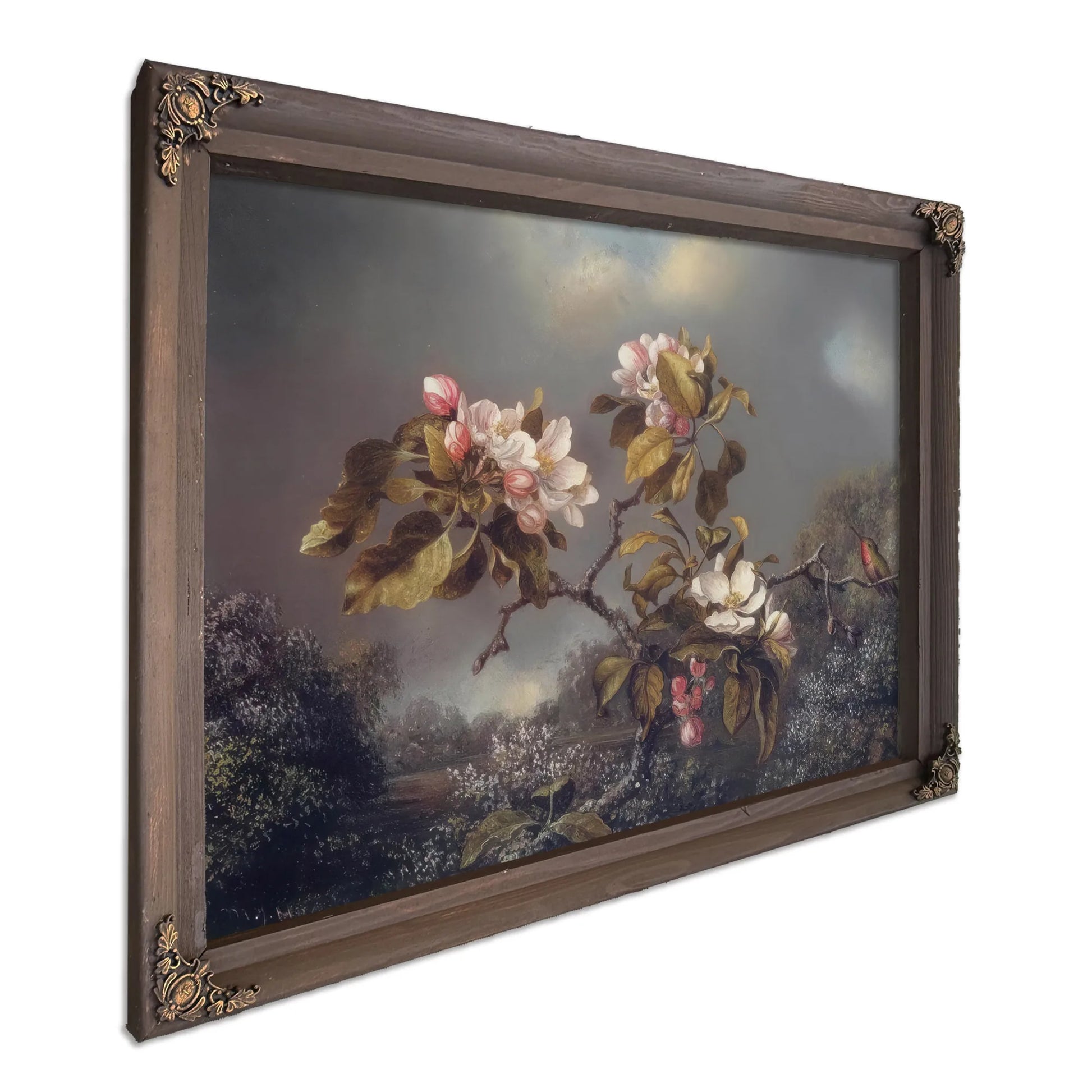 Apple Blossoms And Hummingbird By Martin Johnson Heade Fine Art Print