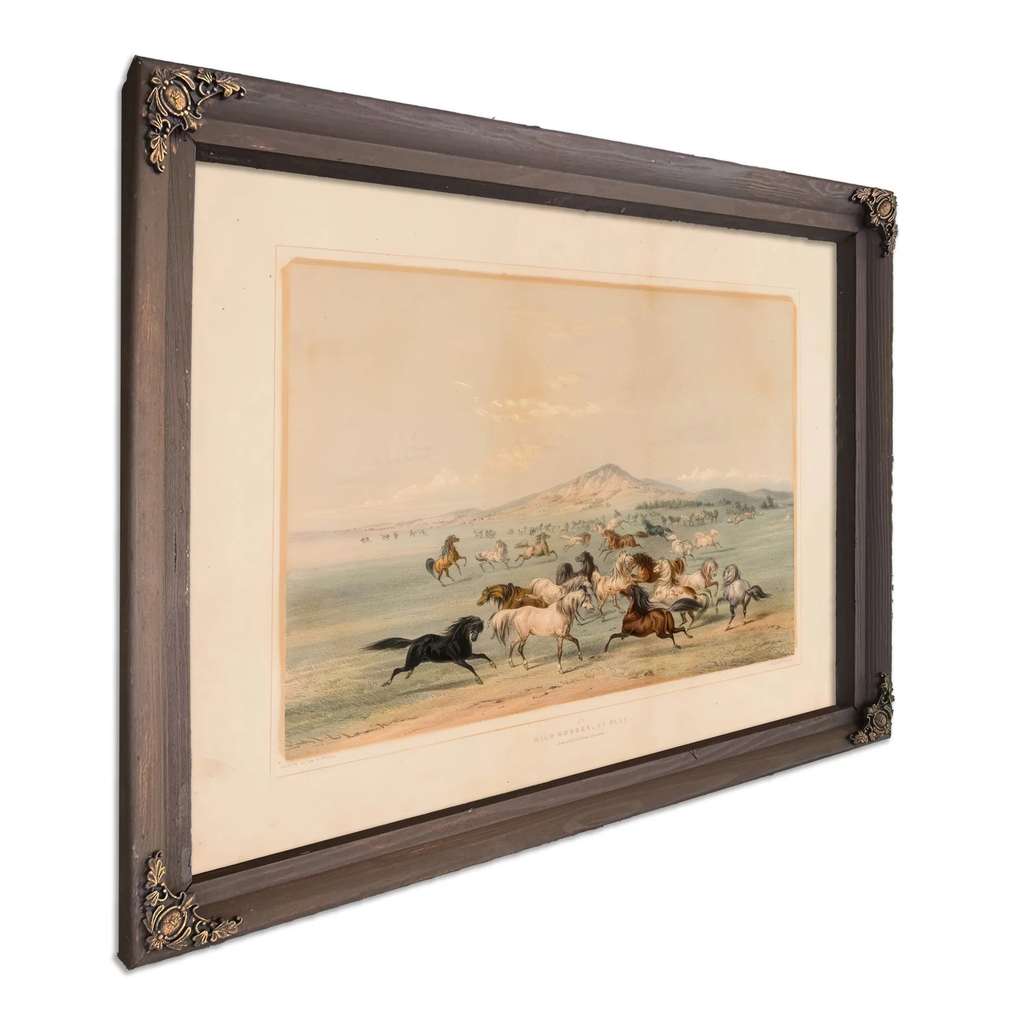 Wild Horses At Play No. 3 By George Catlin Fine Art Print