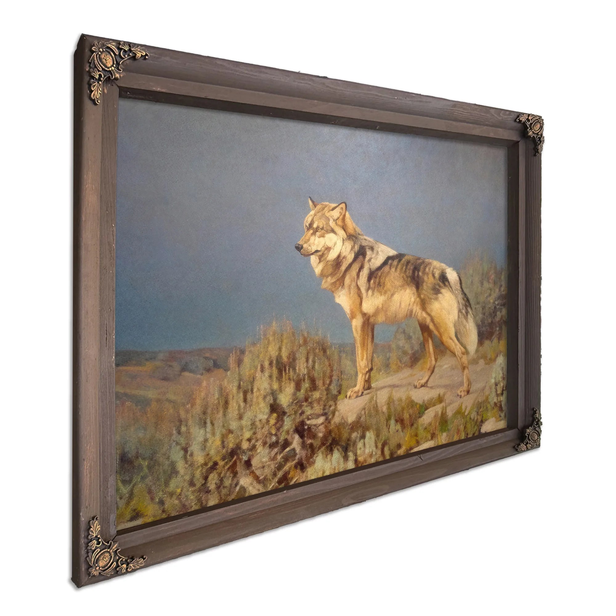 Grey Wolf Standing On A Bluff By Carl Rungius Fine Art Print