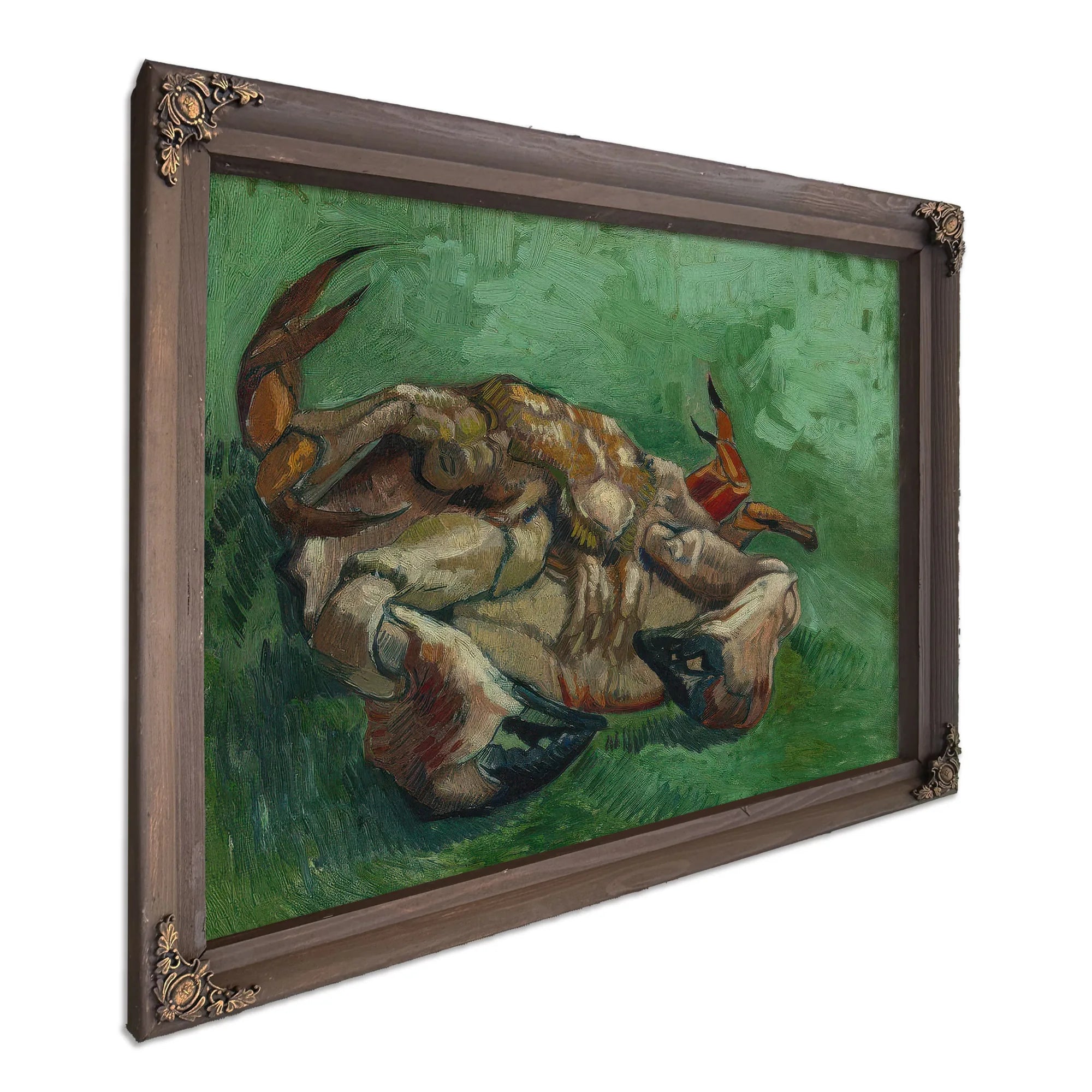 A Crab On Its Back By Vincent Van Gogh Fine Art Print