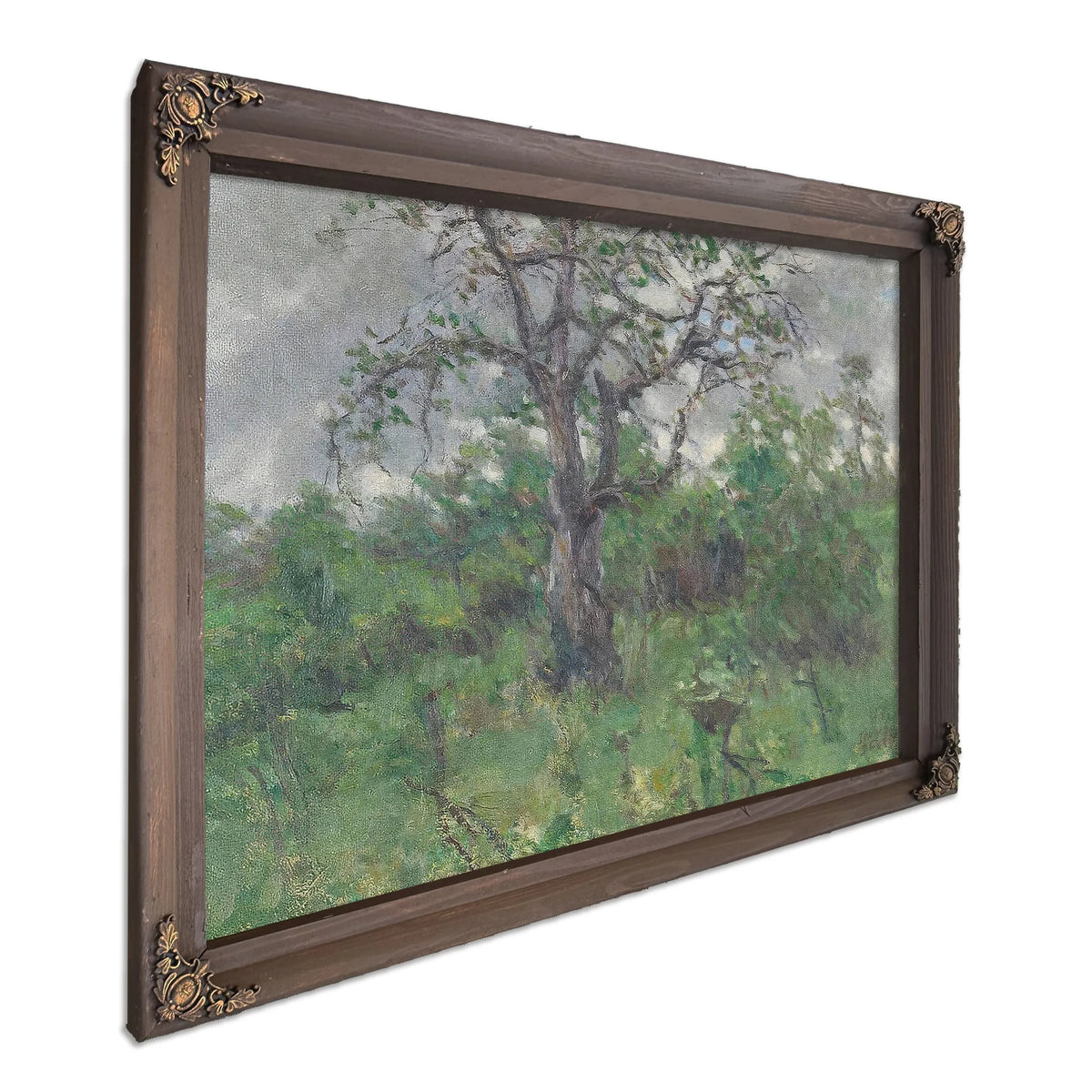 A Landscape With Tree, Spring By John Steuart Curry