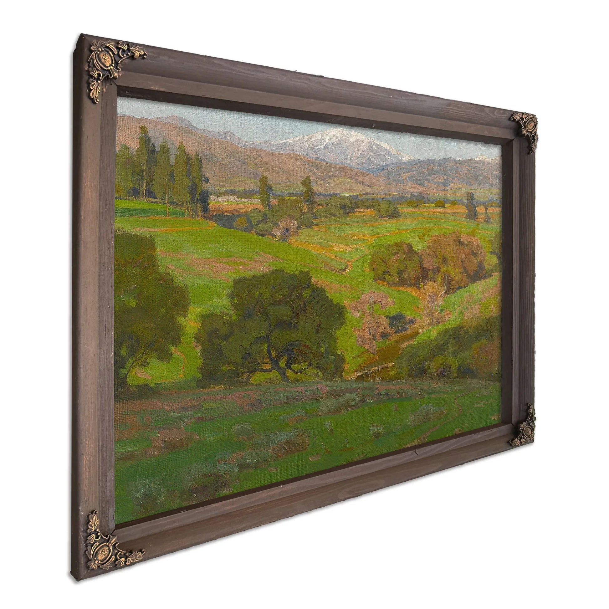 A Vista Towards Mt. Baldy By William Wendt Fine Art Print