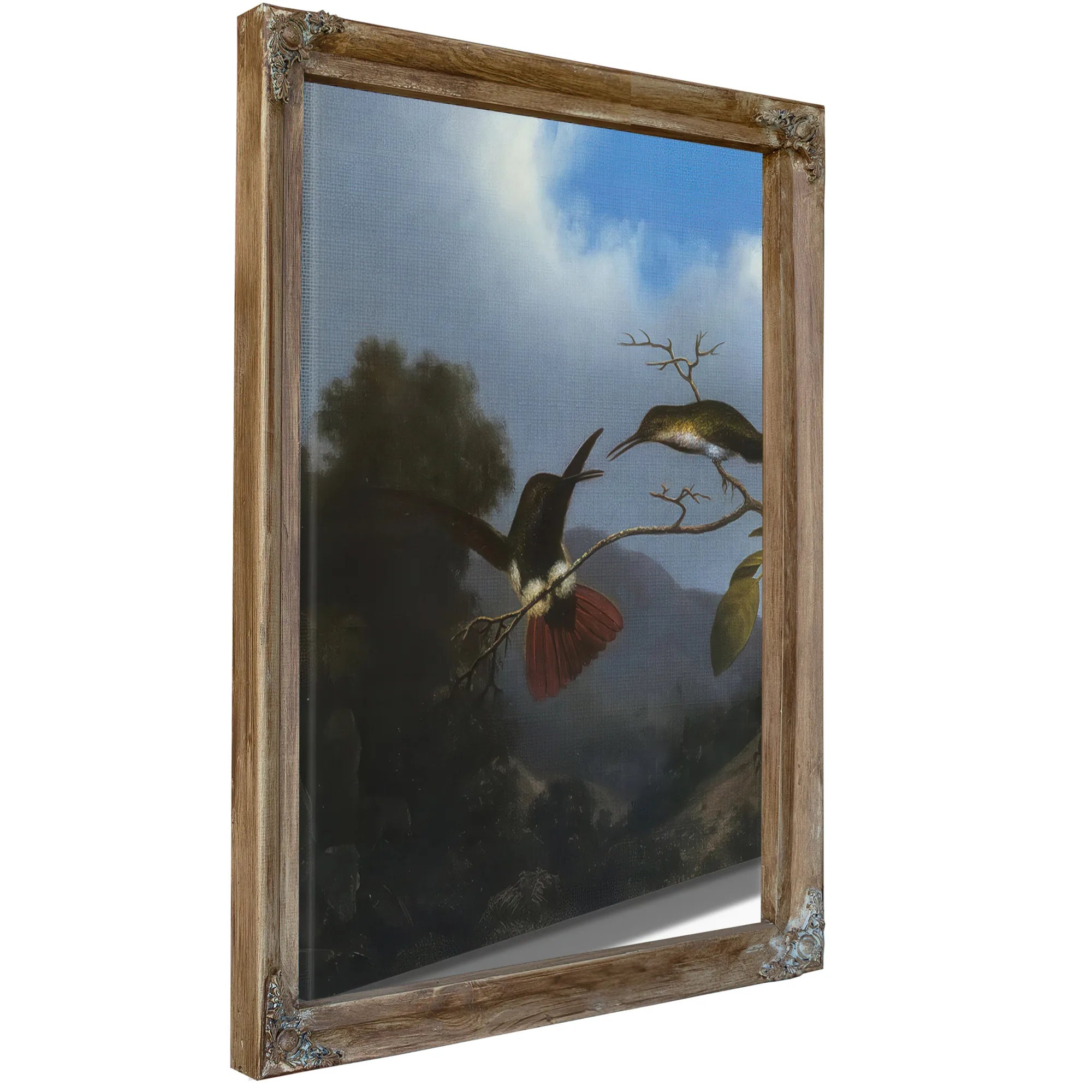 Black Throated Mango By Martin Johnson Heade Fine Art Print