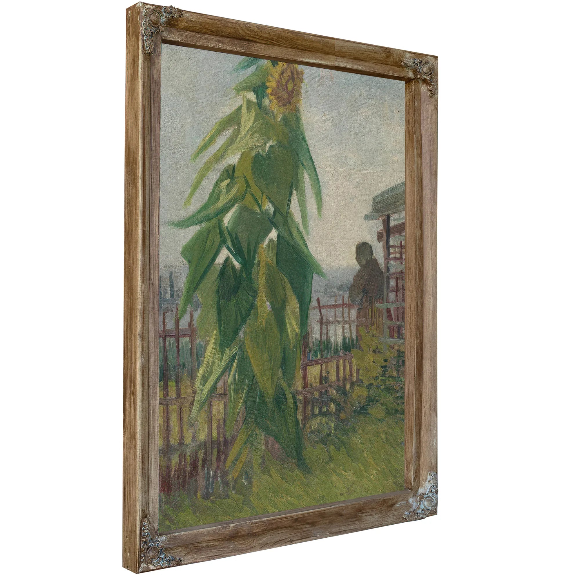 Allotment With Sunflower By Vincent Van Gogh Fine Art Print