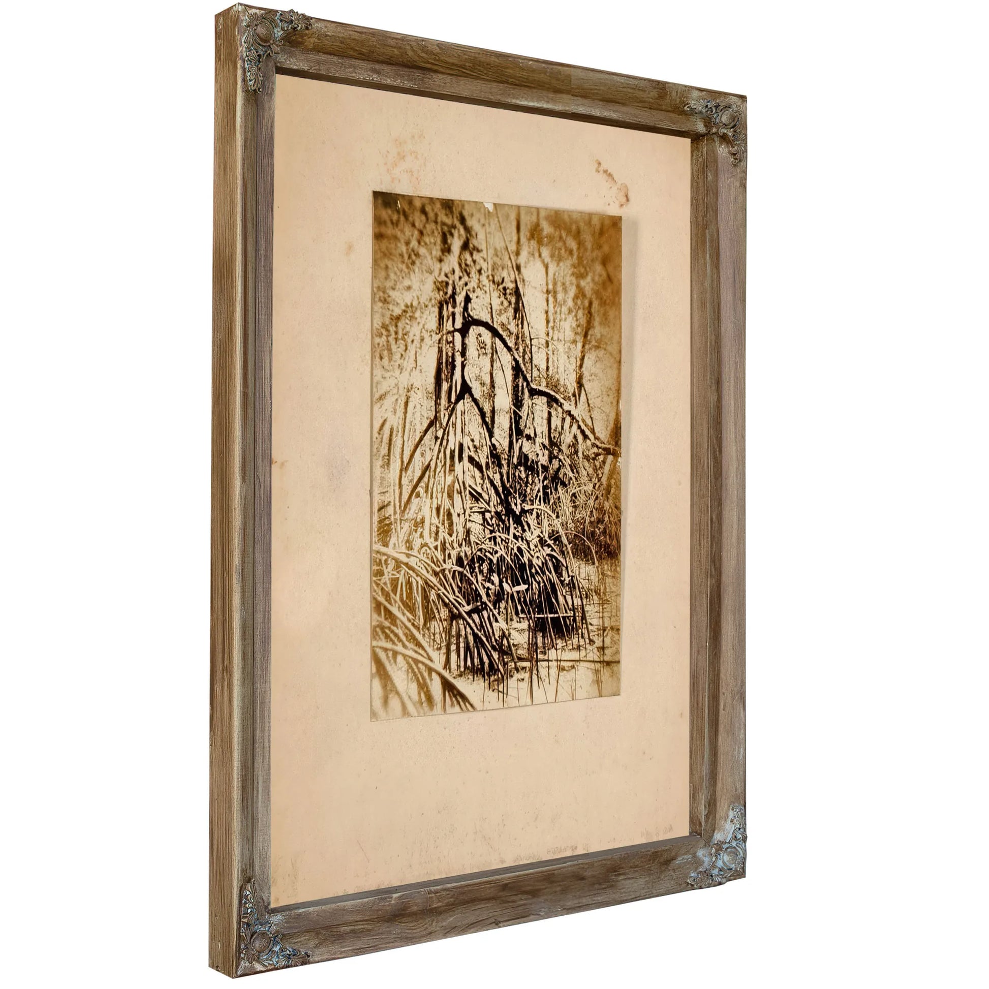 Photo Of Marsh, Study Folder For Book Concealing Coloration In The Animal Kingdom By Abbott Handerson Thayer Fine Art Print