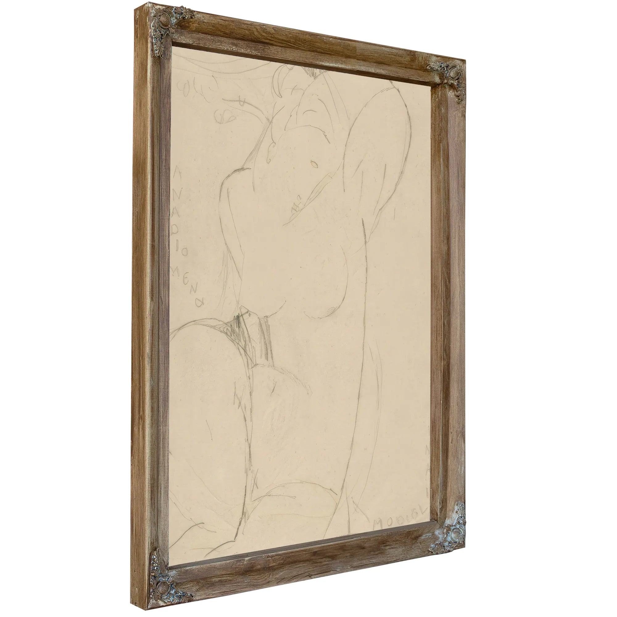 Anadiomena By Amedeo Modigliani Fine Art Print