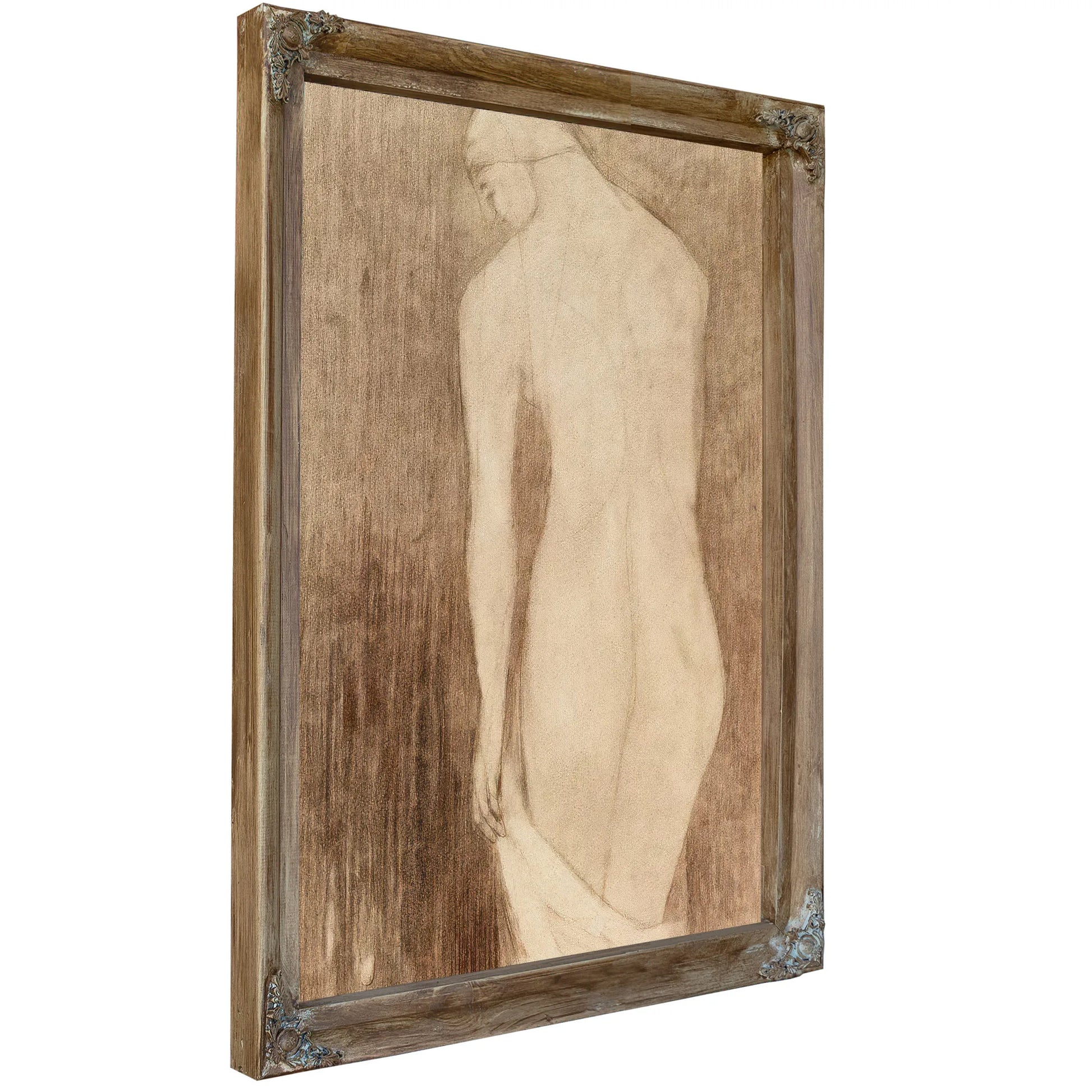 Nude Woman Seen From Behind By Odilon Redon Fine Art Print