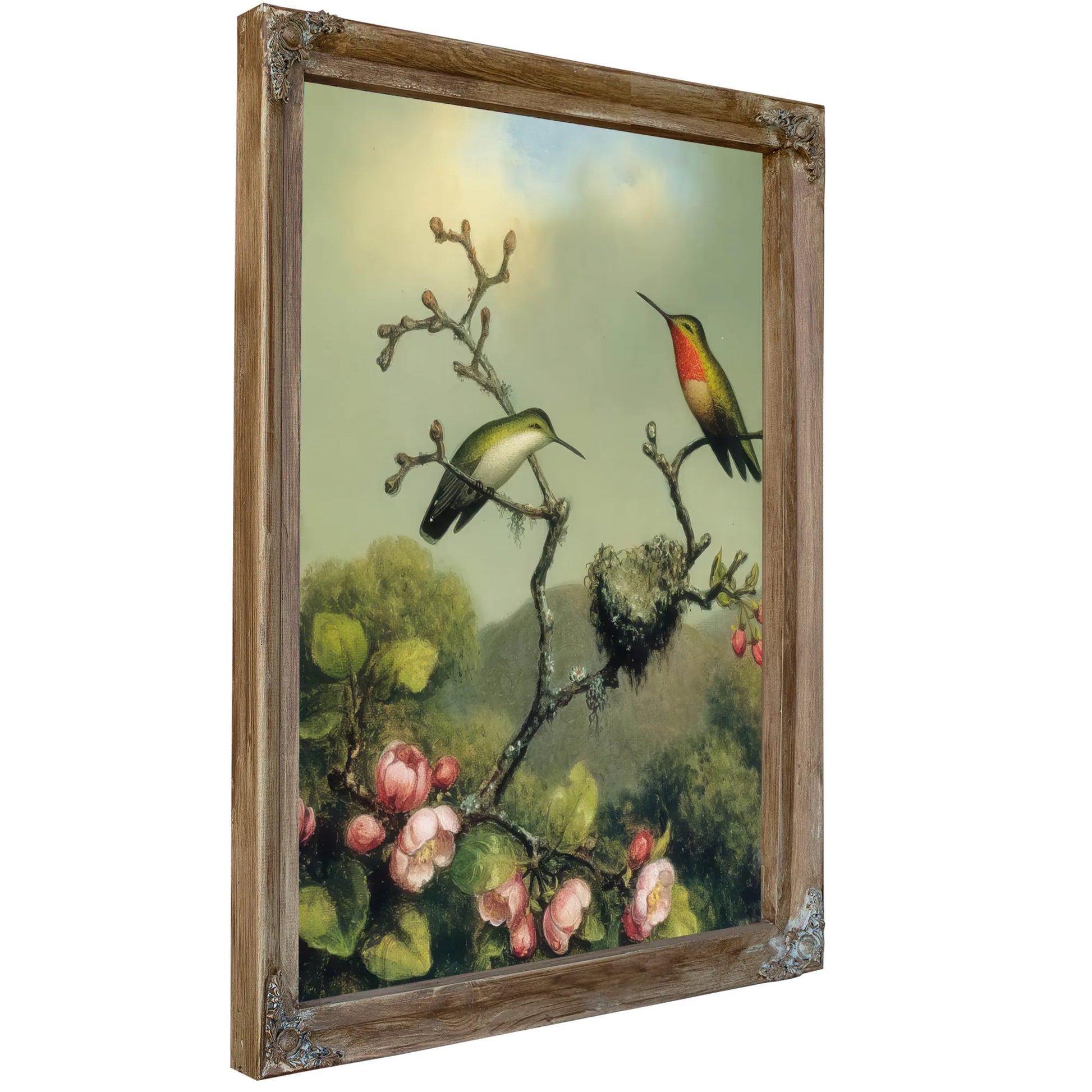 Ruby Throat Of North America By Martin Johnson Heade Fine Art Print