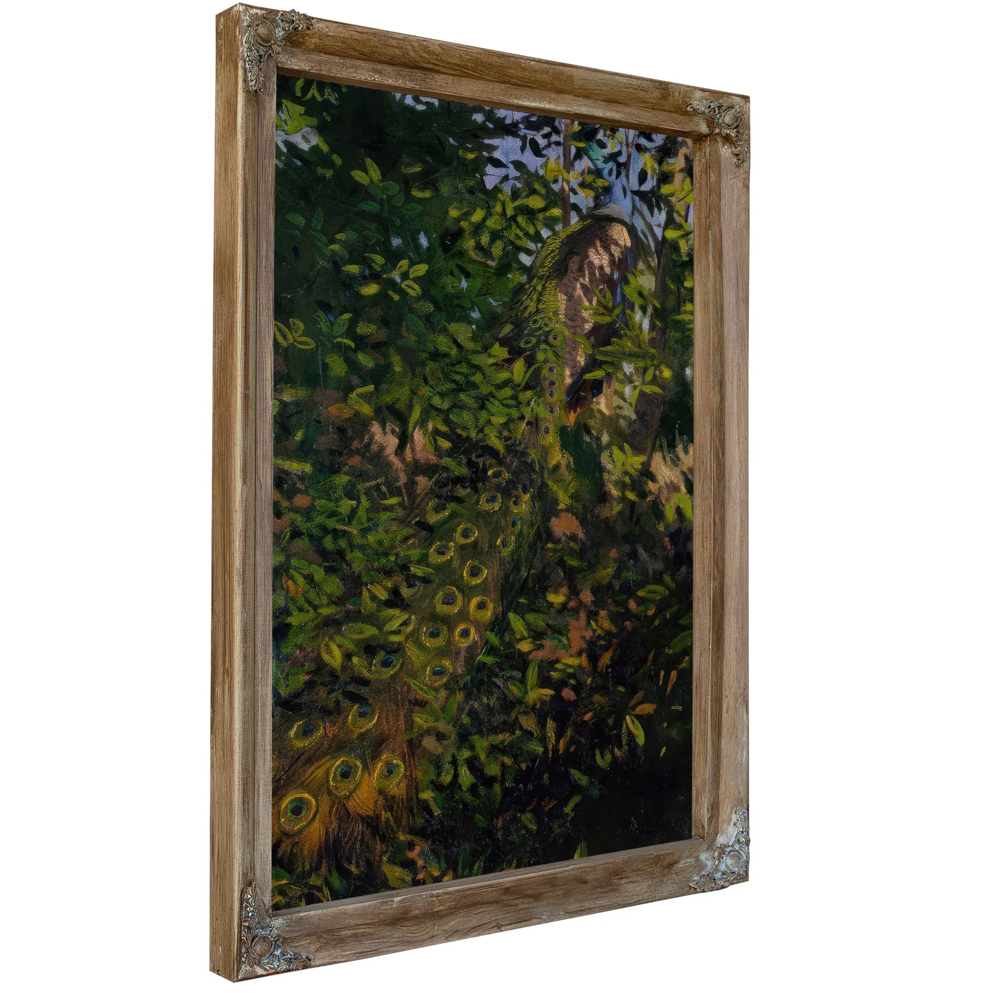 Peacock In The Woods, Study For Book Concealing Coloration In The Animal Kingdom By Abbott Handerson Thayer Fine Art Print