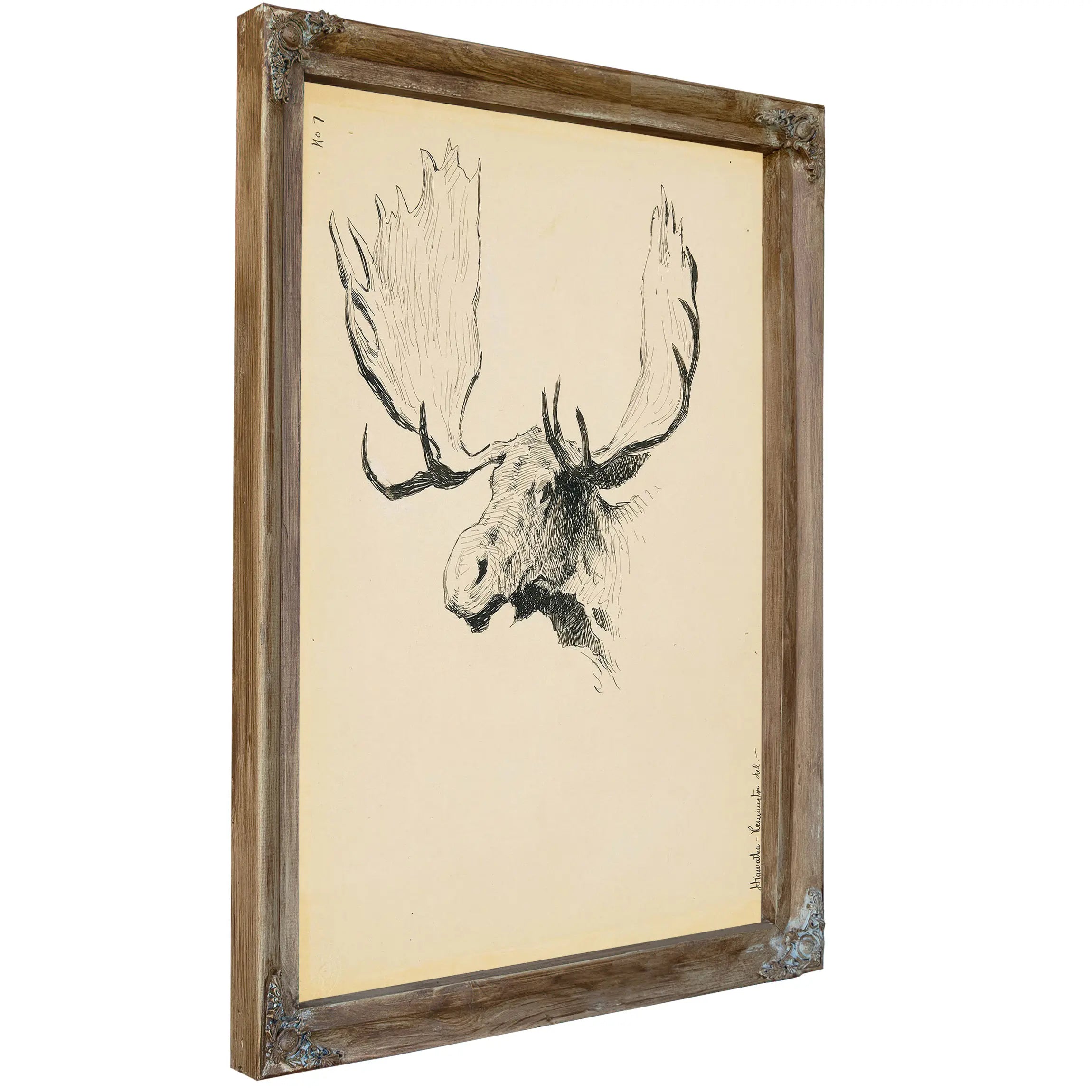 Moose Head by Frederic Remington