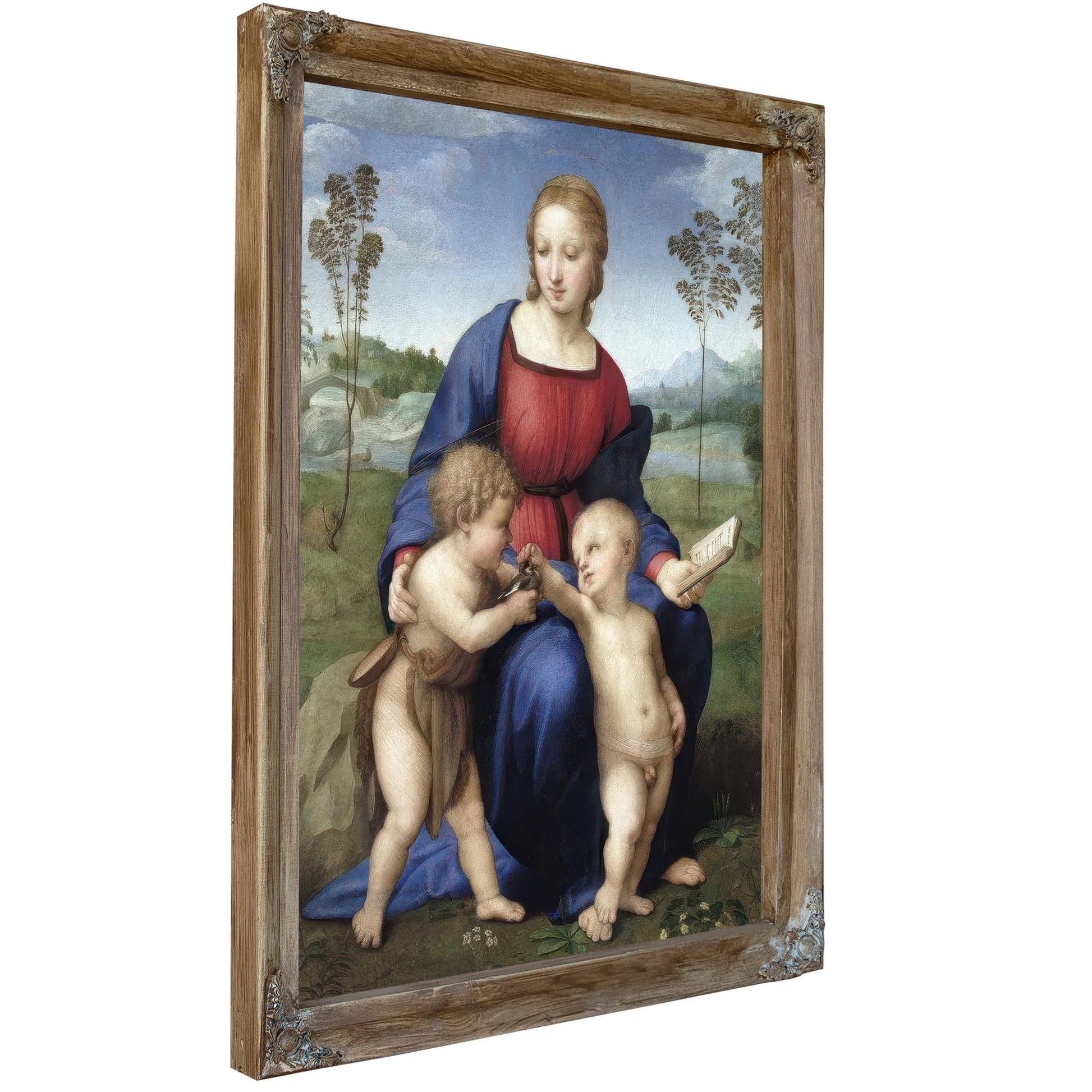 Madonna Del Cardellino (Madonna Of The Goldfinch) By Raphael Fine Art Print