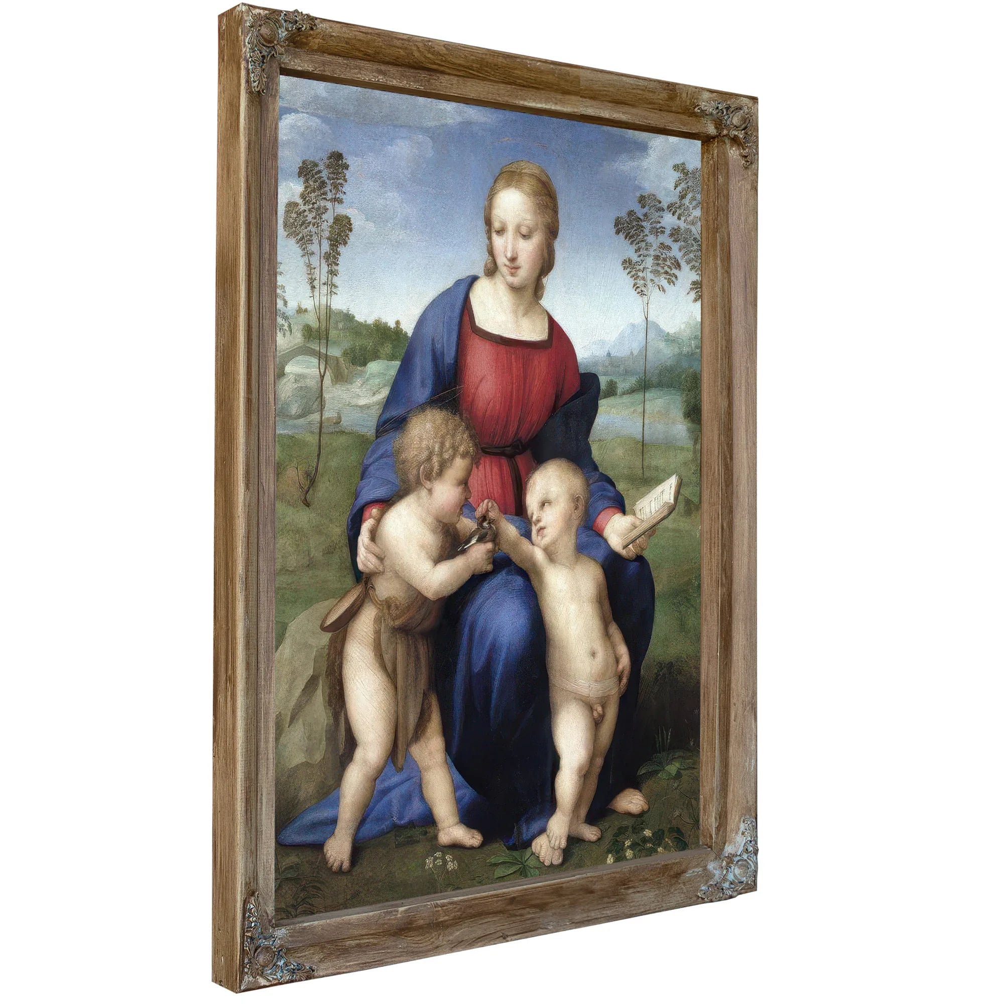 Madonna Del Cardellino (Madonna Of The Goldfinch) By Raphael Fine Art Print