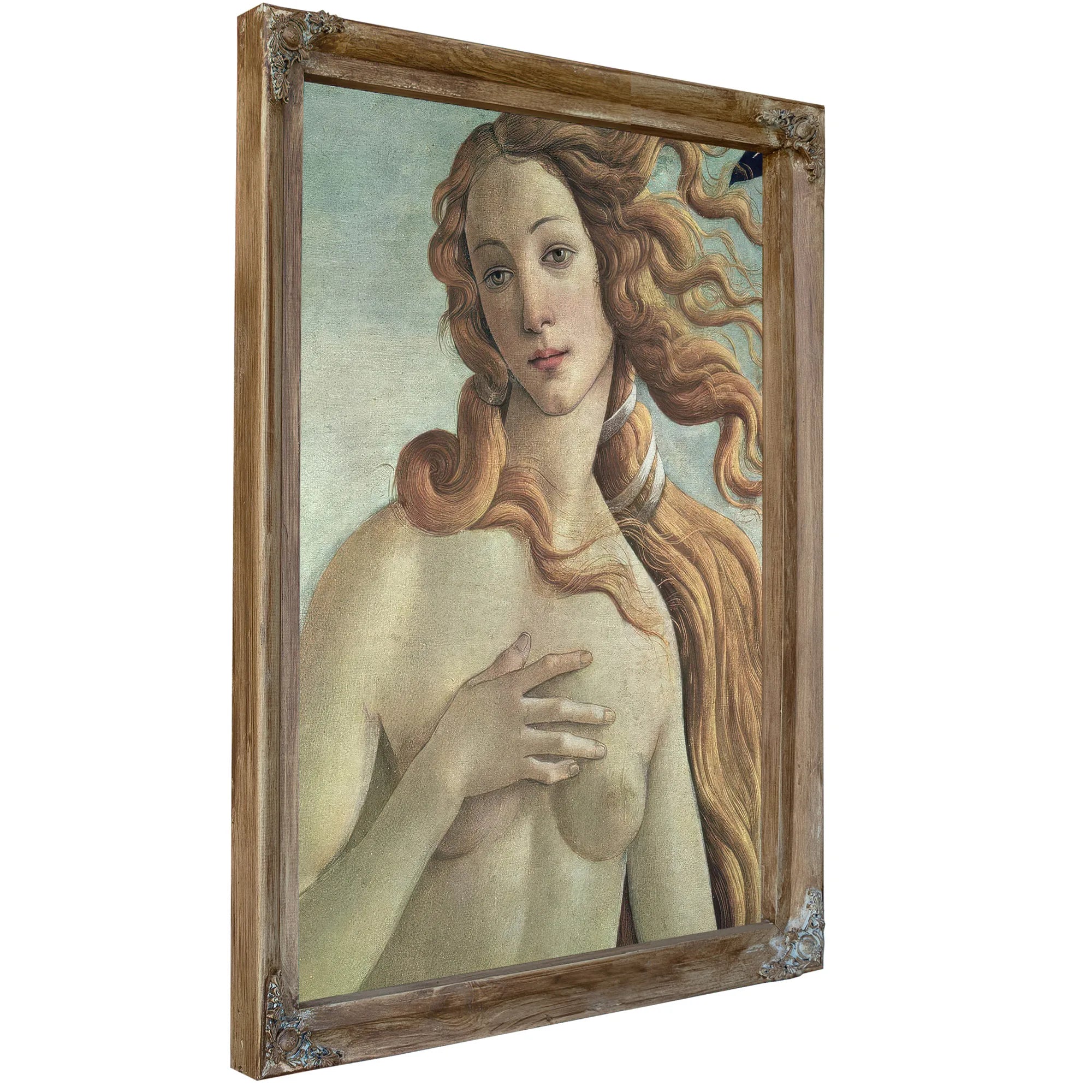 Venus Detail From The Birth Of Venus By Sandro Botticelli Fine Art Print