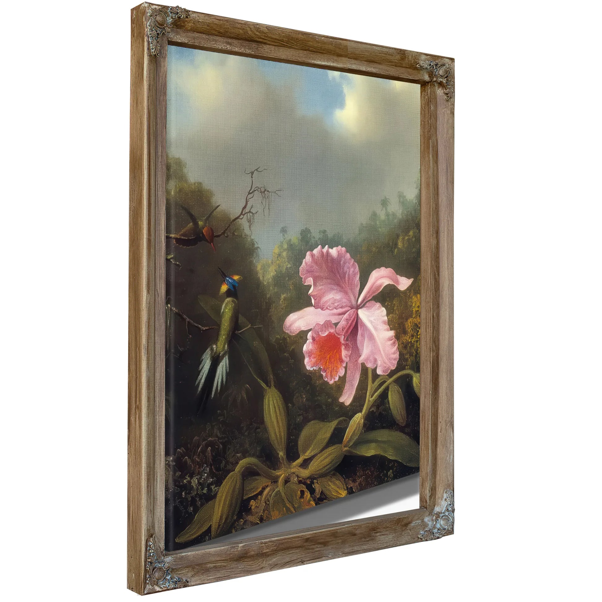 Fighting Hummingbirds With Pink Orchid By Martin Johnson Heade Fine Art Print