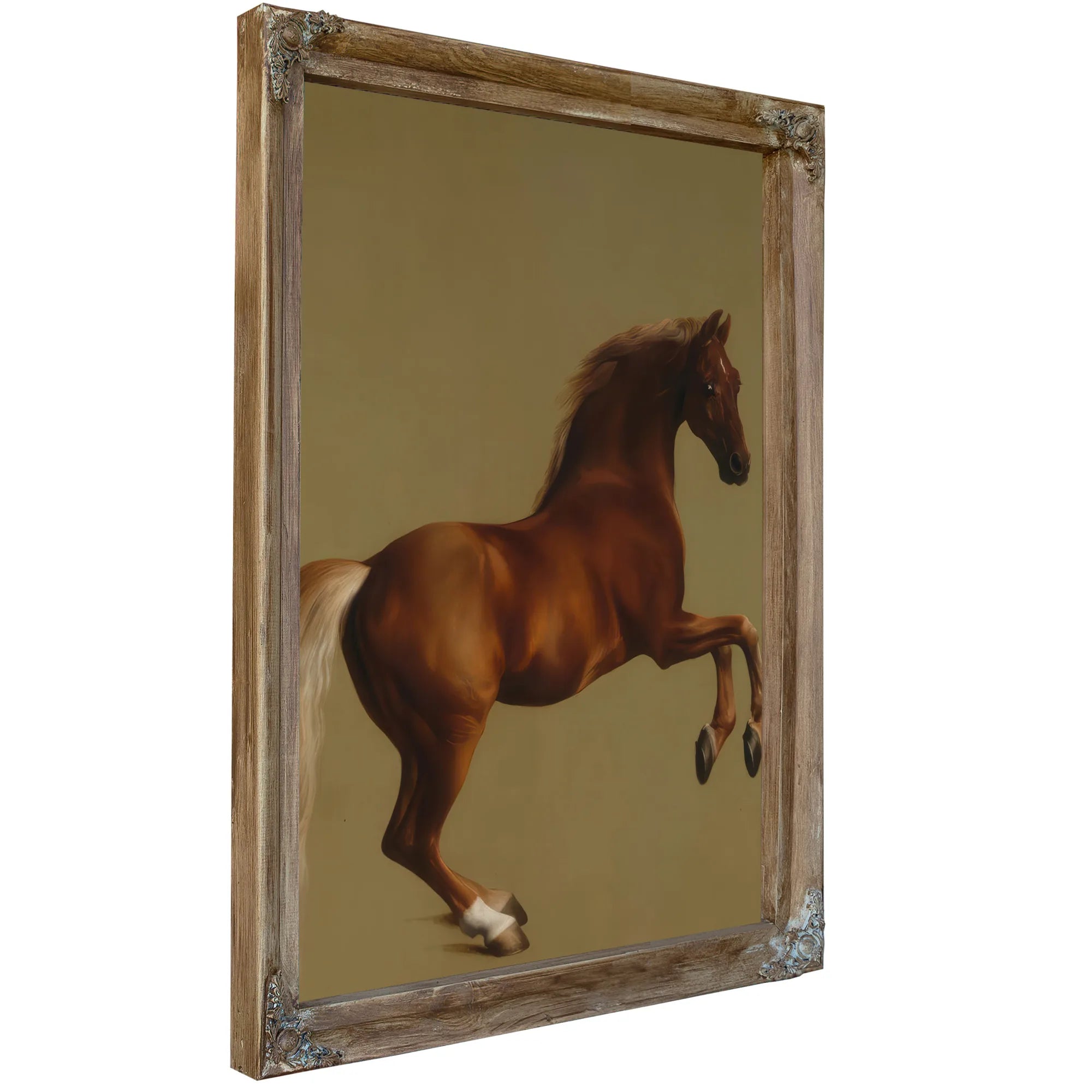 Whistlejacket By George Stubbs Fine Art Print