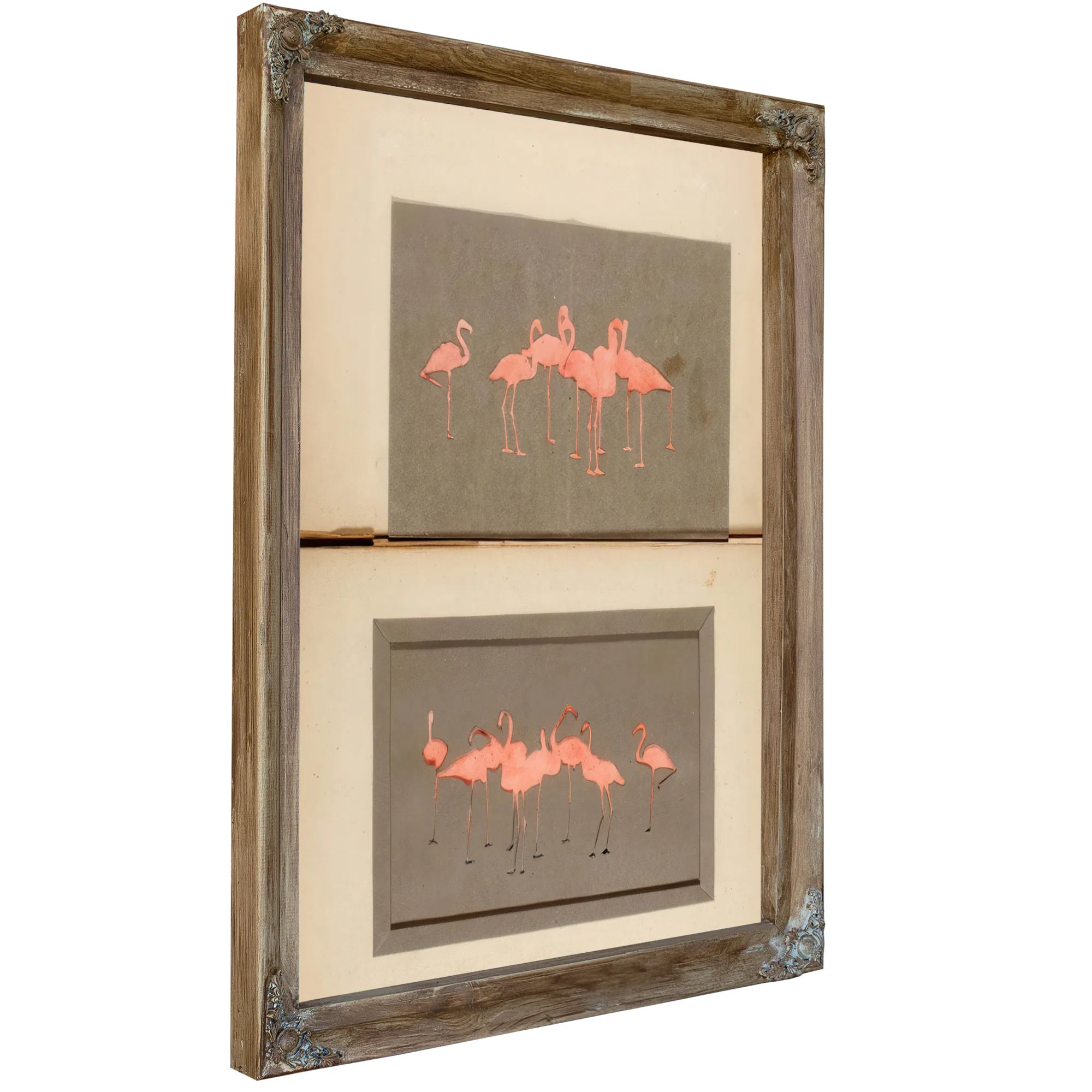 Flamingoes, Study Folder For Book Concealing Coloration In The Animal Kingdom By Abbott Handerson Thayer Fine Art Print