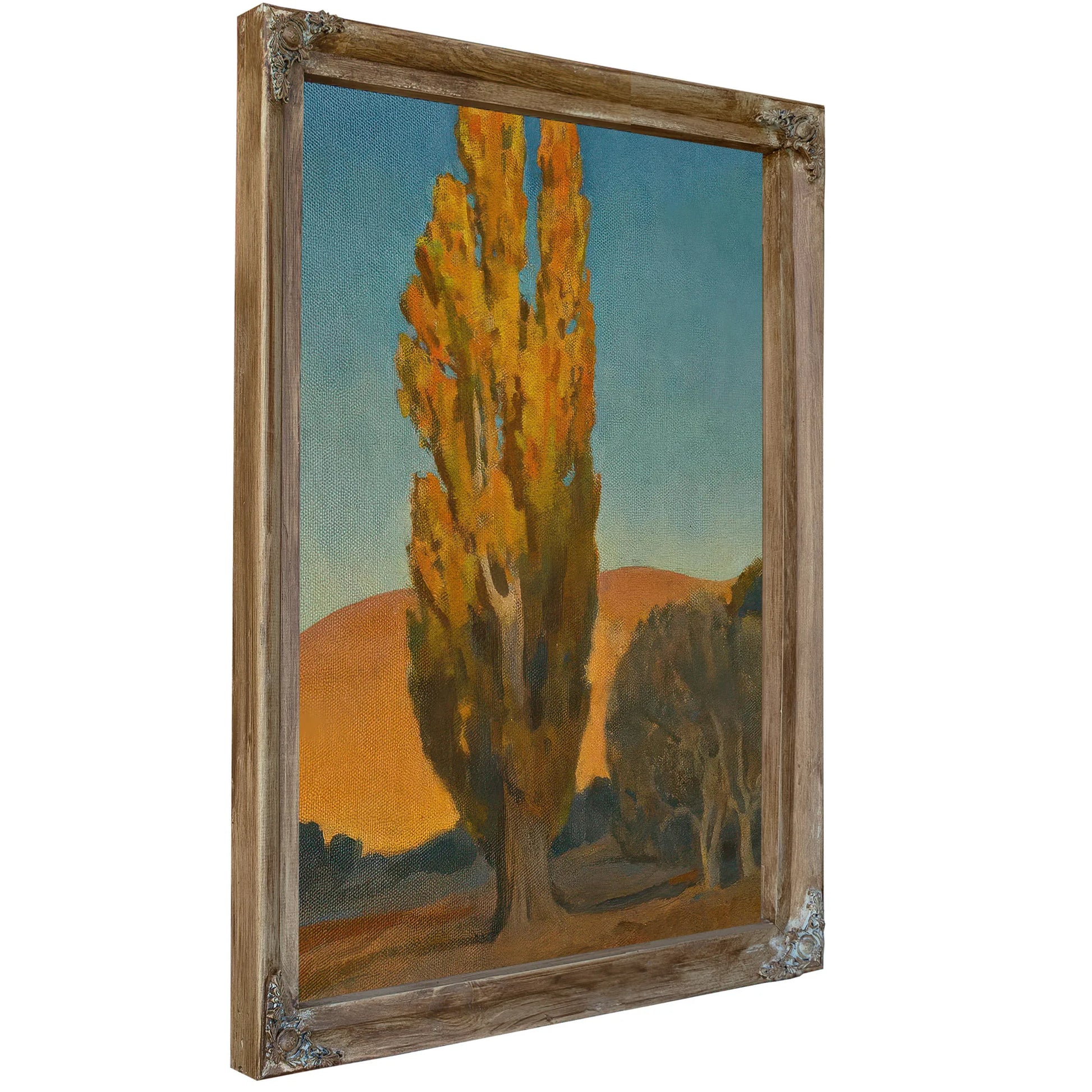 Shifting Light On A Poplar By Maynard Dixon Fine Art Print