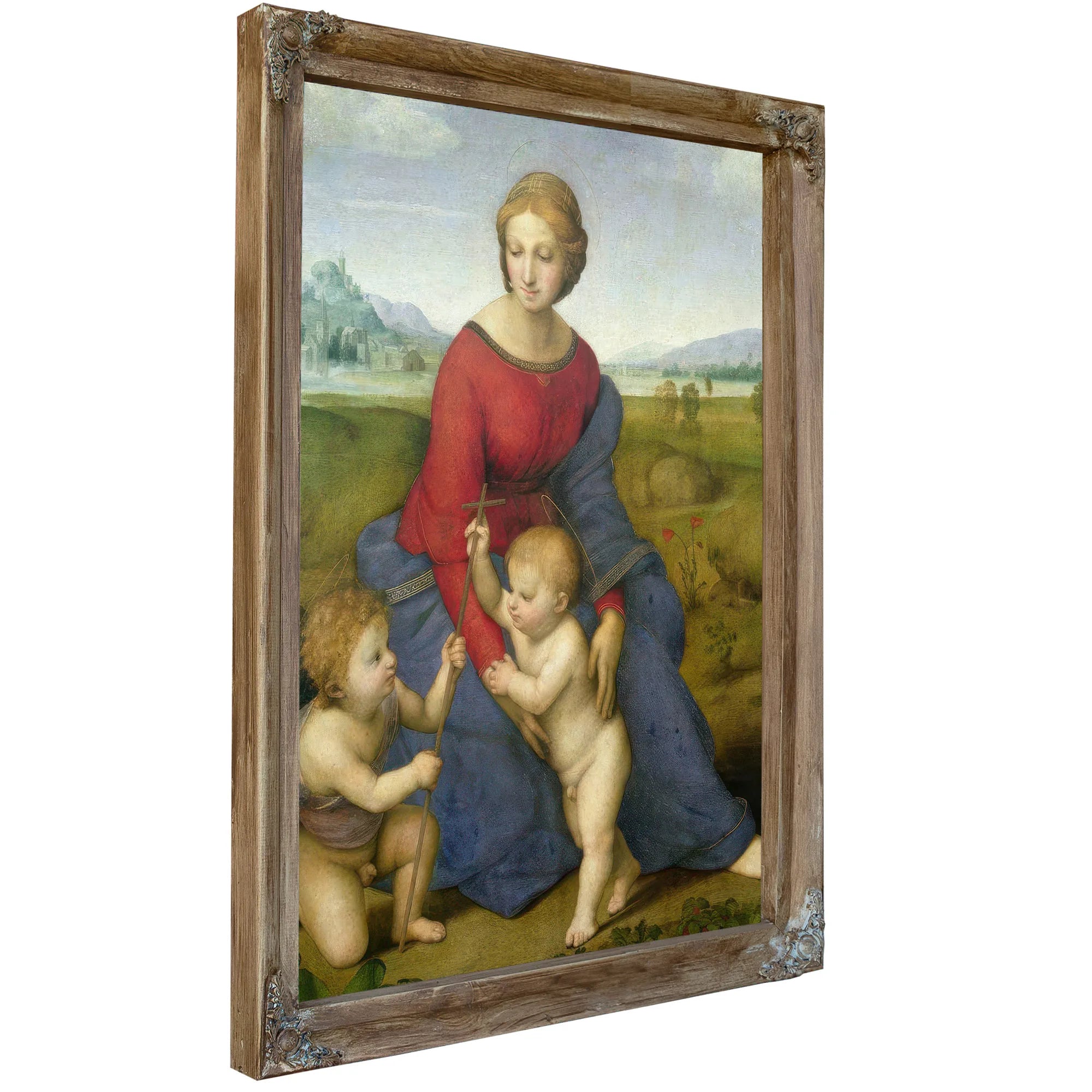 Madonna In The Meadow by Raphael Fine Art Print