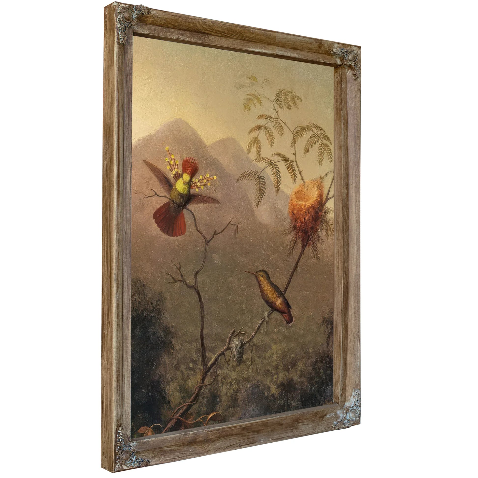 Tufted Coquette By Martin Johnson Heade Fine Art Print