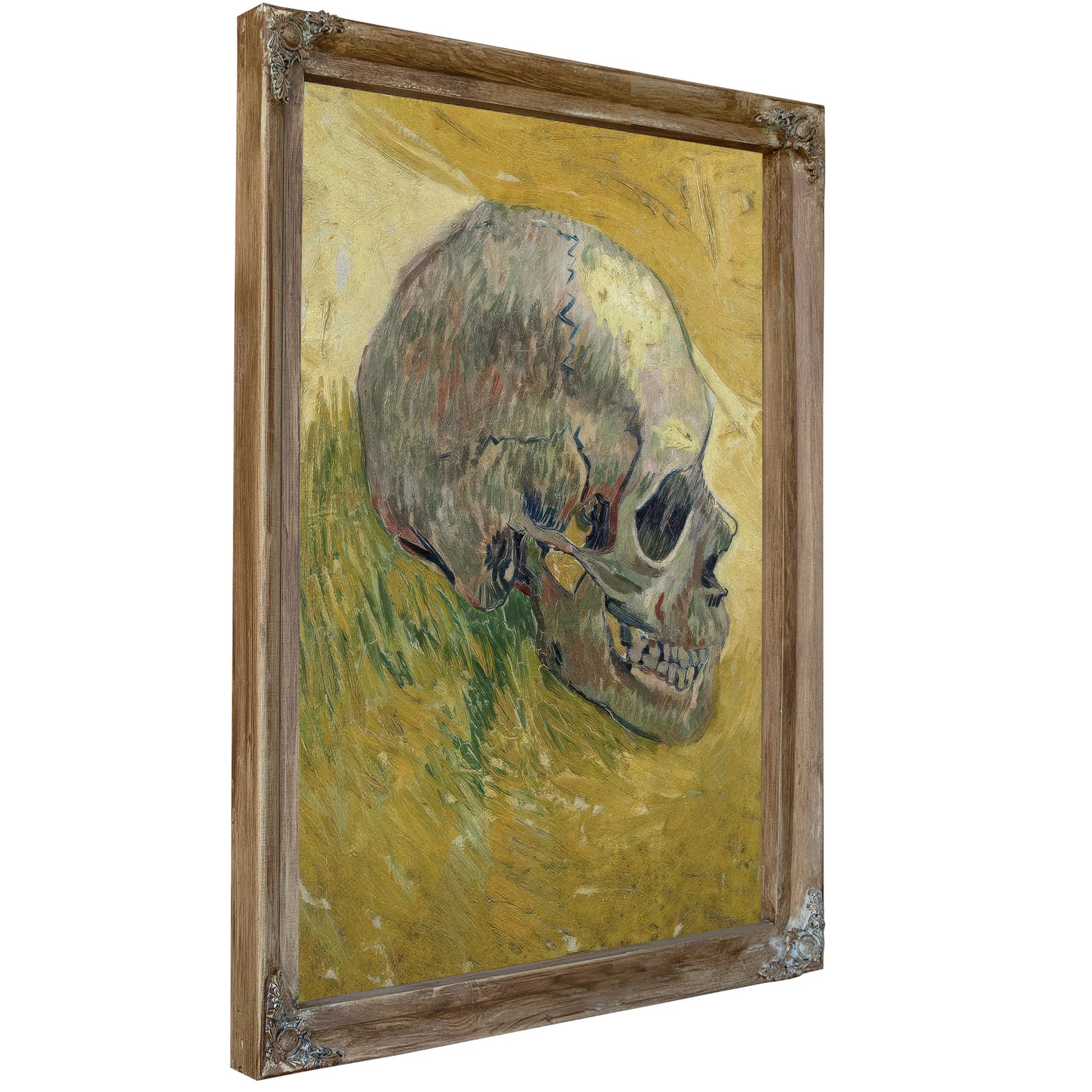 Skull By Vincent Van Gogh Fine Art Print