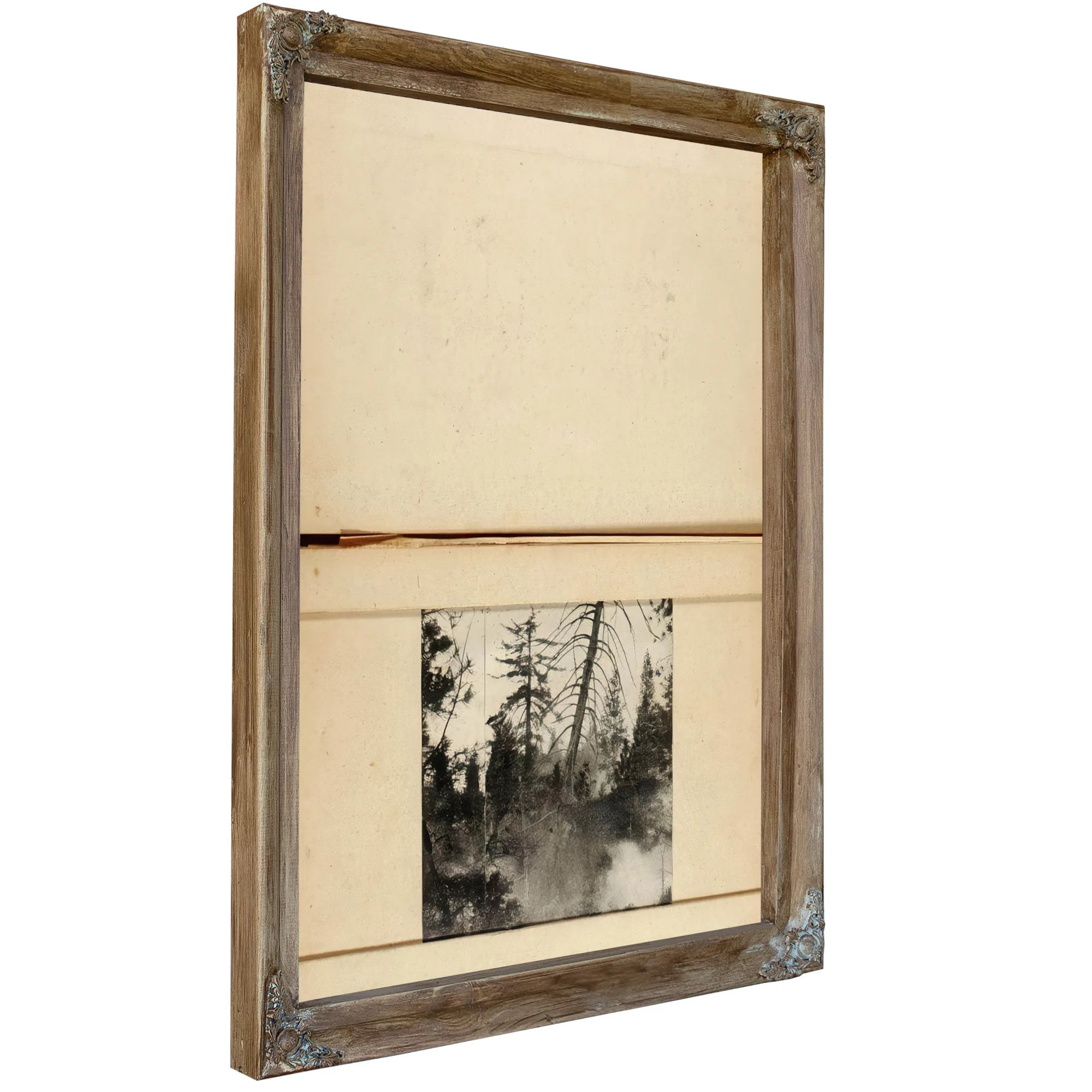 Moving Deer, Study Folder For Book Concealing Coloration In The Animal Kingdom By Abbott Handerson Thayer Fine Art Print