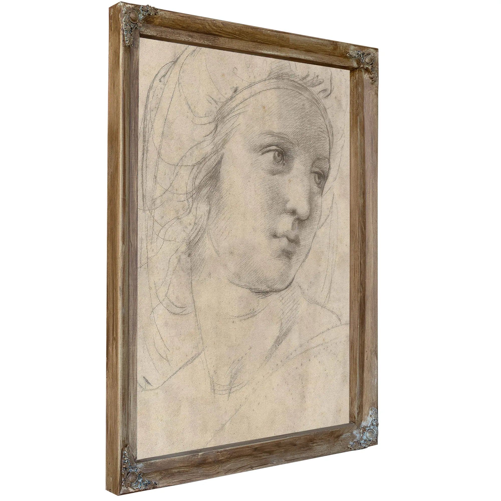 Head Of A Muse By Raphael Fine Art Print