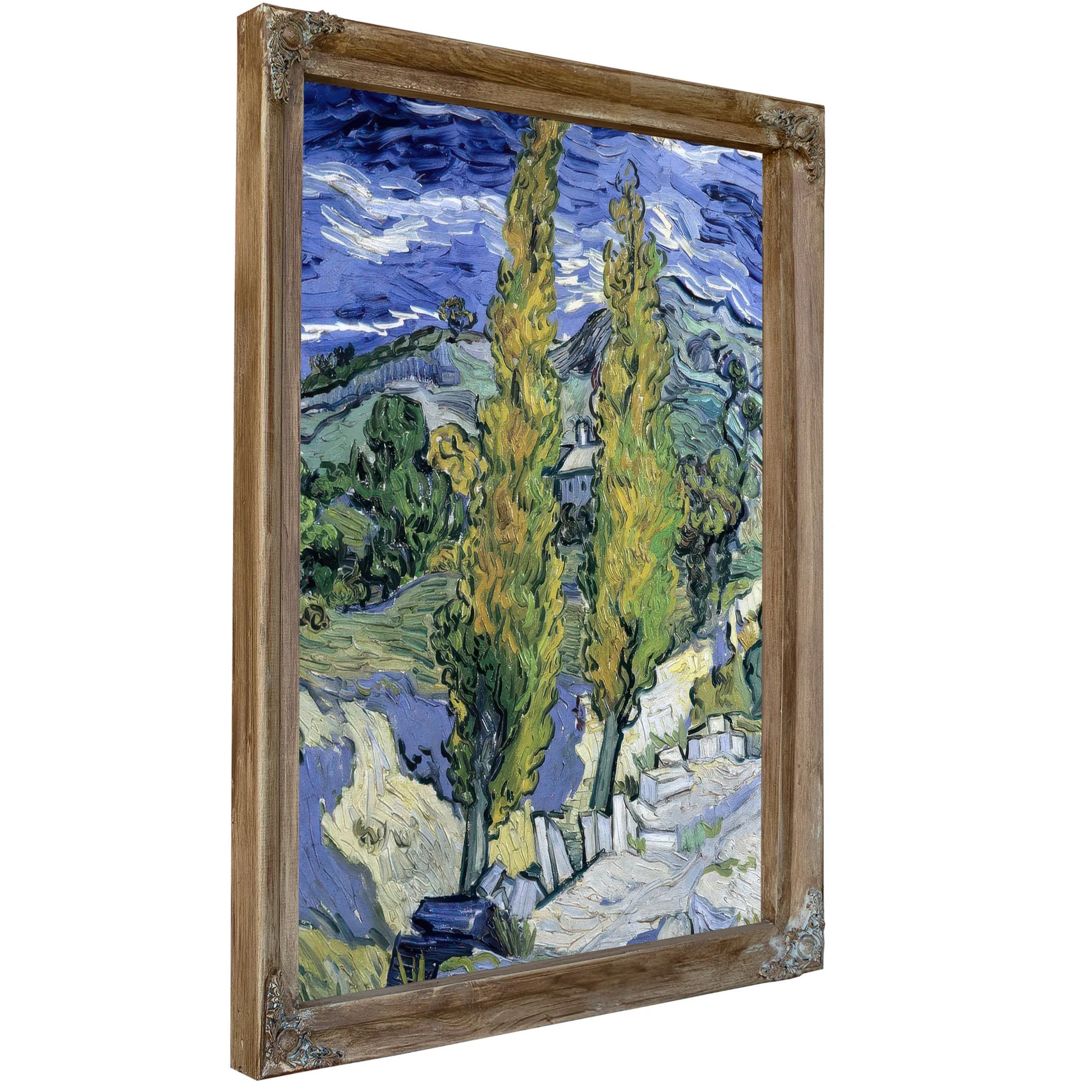 The Poplars At Saint Remy By Vincent Van Gogh Fine Art Print