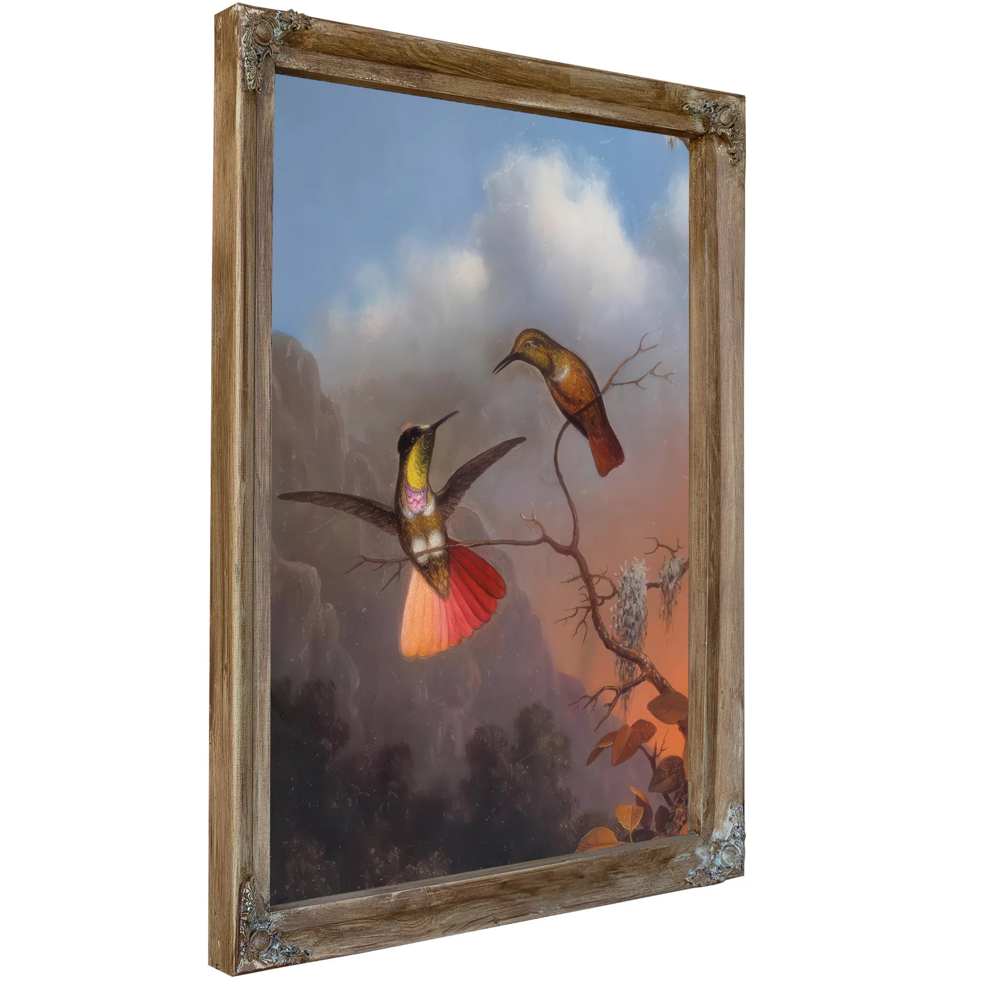 Hooded Visorbearer By Martin Johnson Heade Fine Art Print