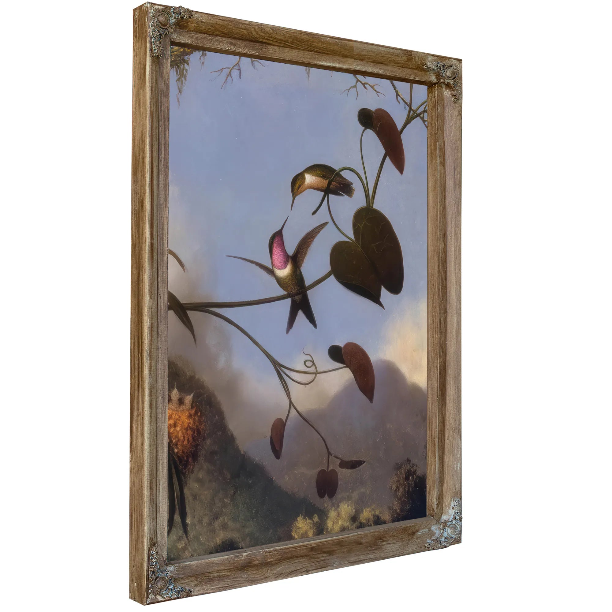 Amethyst Woodstar By Martin Johnson Heade Fine Art Print