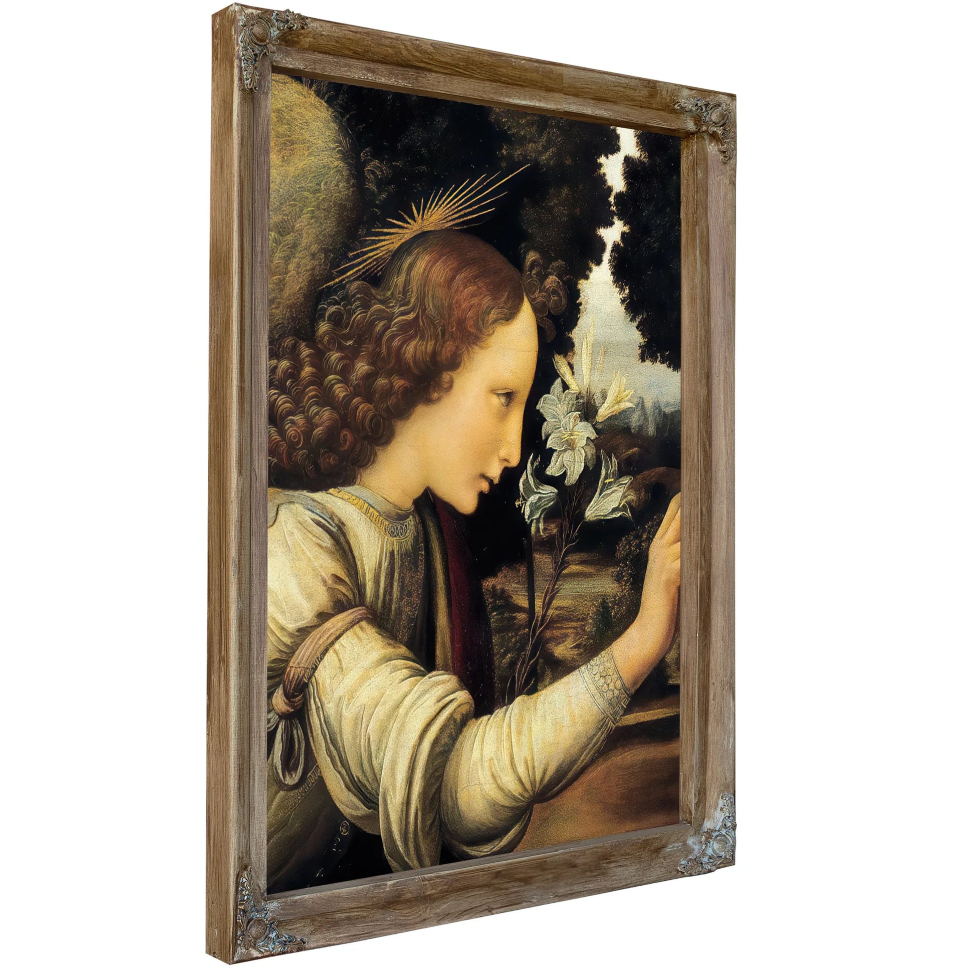 Angel By Leonardo Da Vinci Fine Art Print