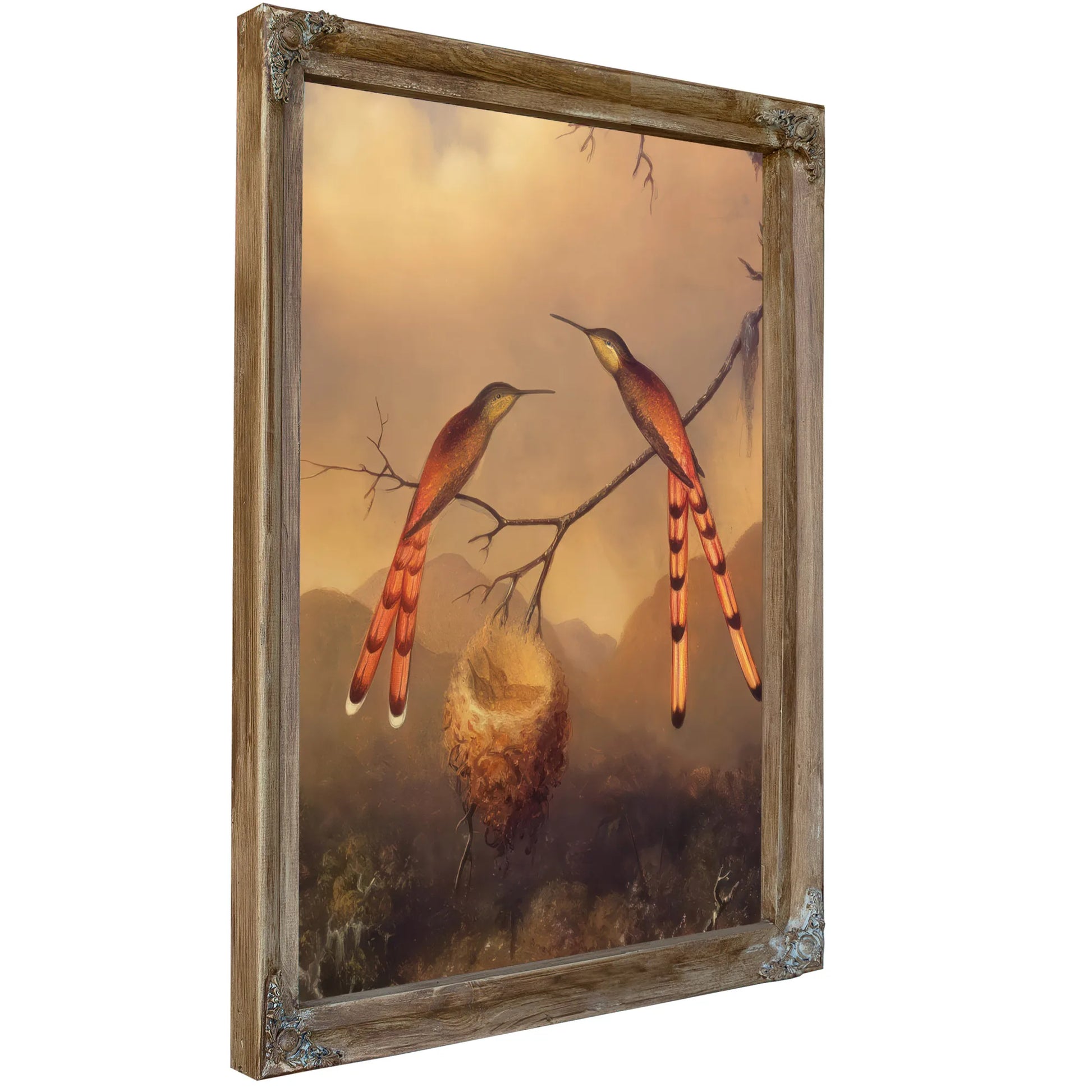 Two Hummingbirds With Their Young By Martin Johnson Heade Fine Art Print