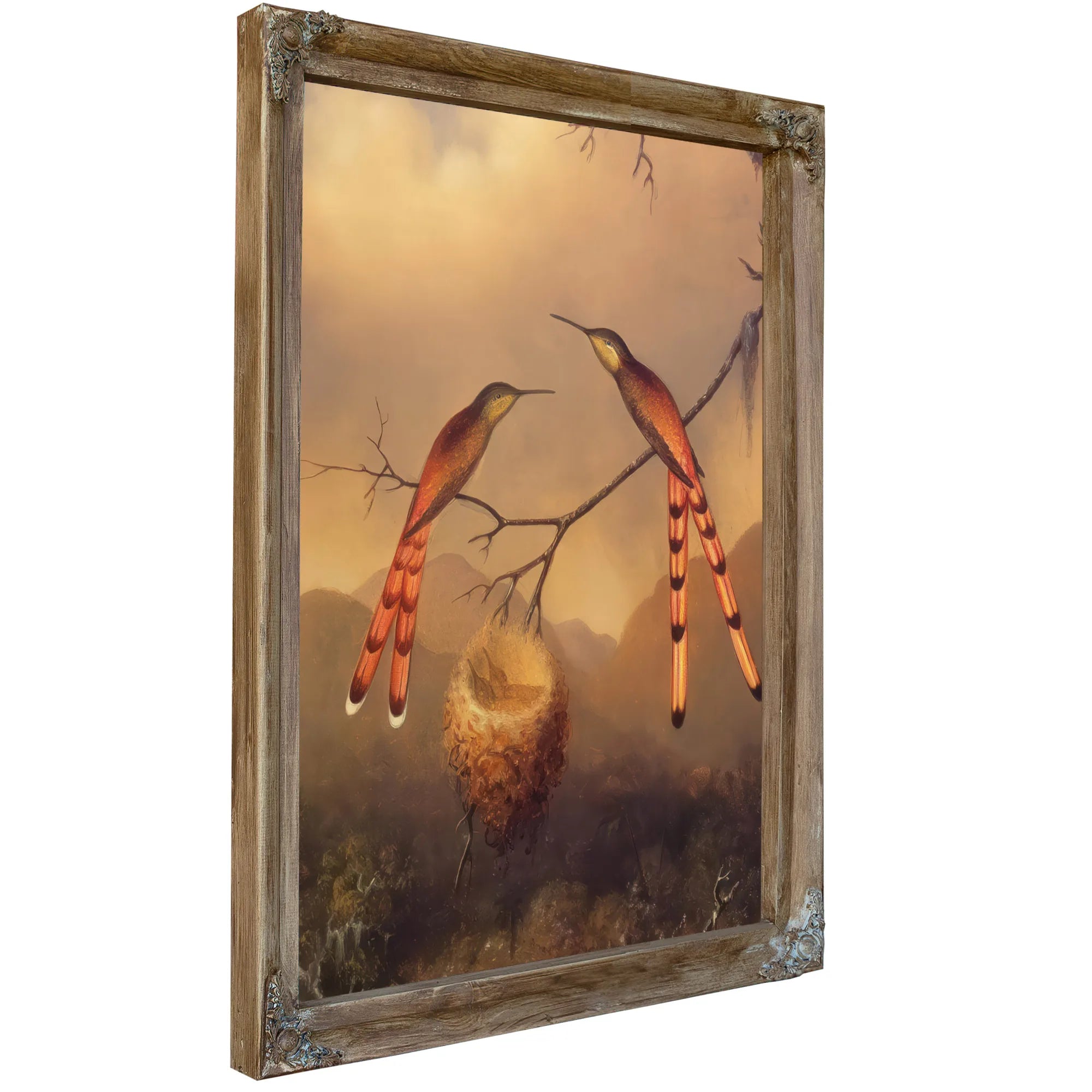 Two Hummingbirds With Their Young By Martin Johnson Heade Fine Art Print